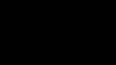 live.gif