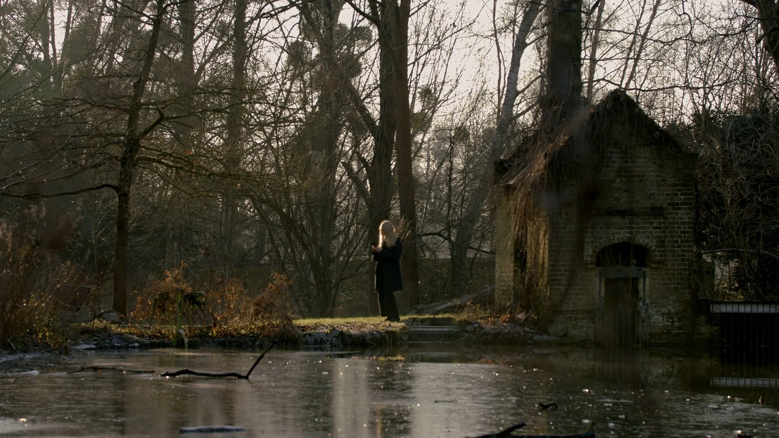 PILGRIMS STILL_1.12.1.jpg