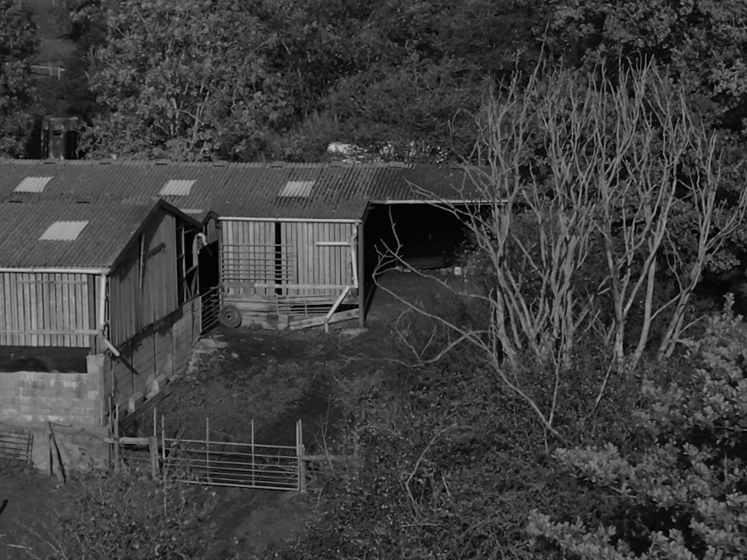 Still 2026-03-26 232722_1.1.13.jpg