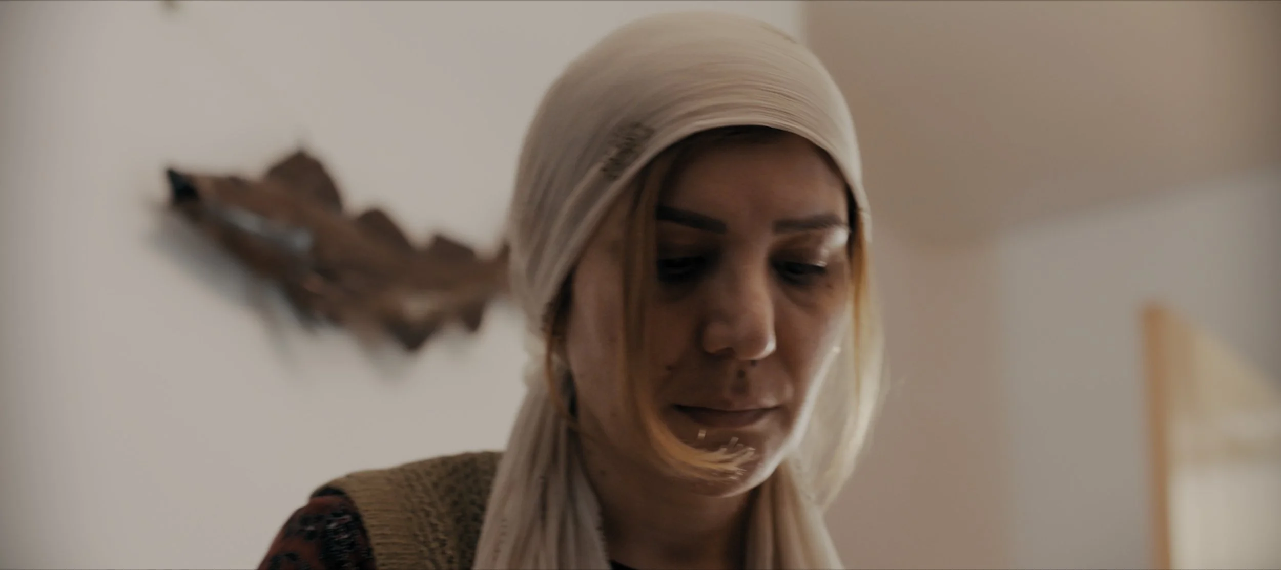 Still 2025-05-22 093426_1.41.1.jpg