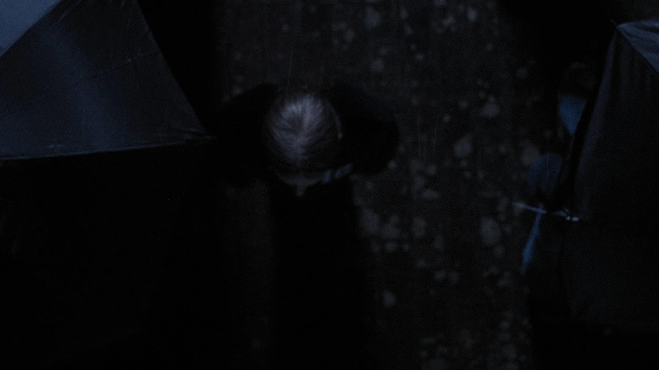 Still 2026-02-18 234023_1.5.1.jpg