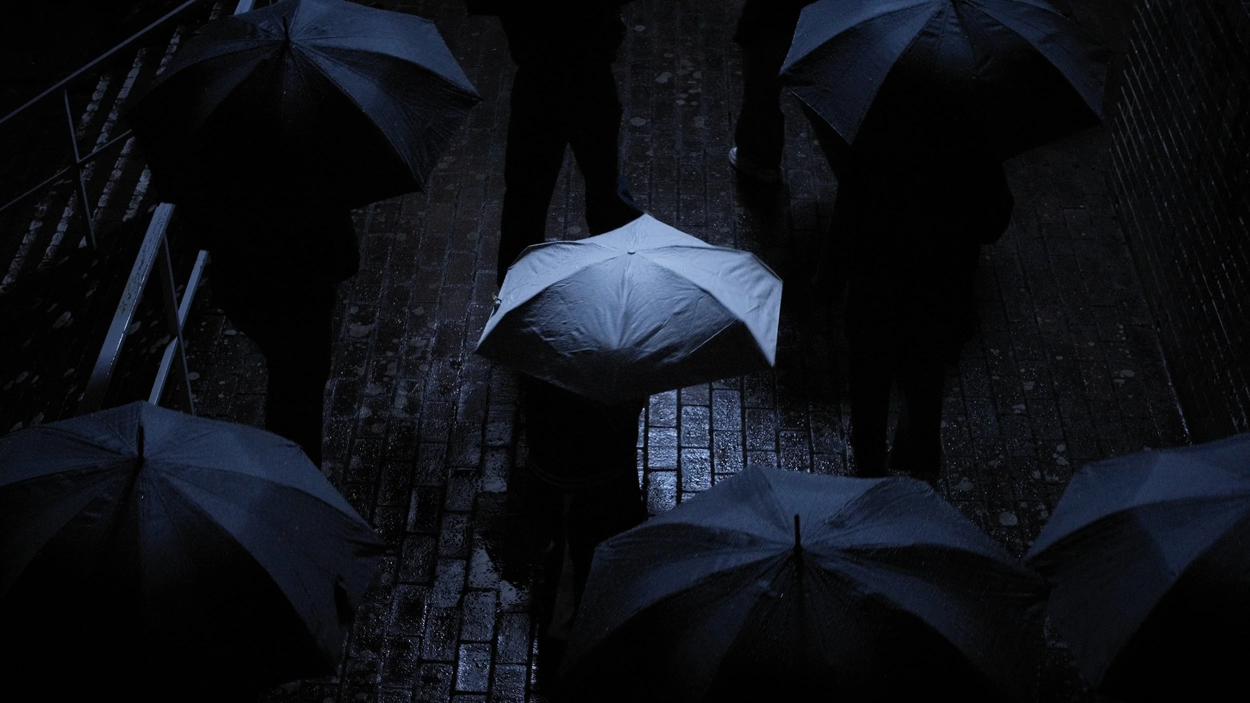 Just Another Umbrella (Spec) - DOP