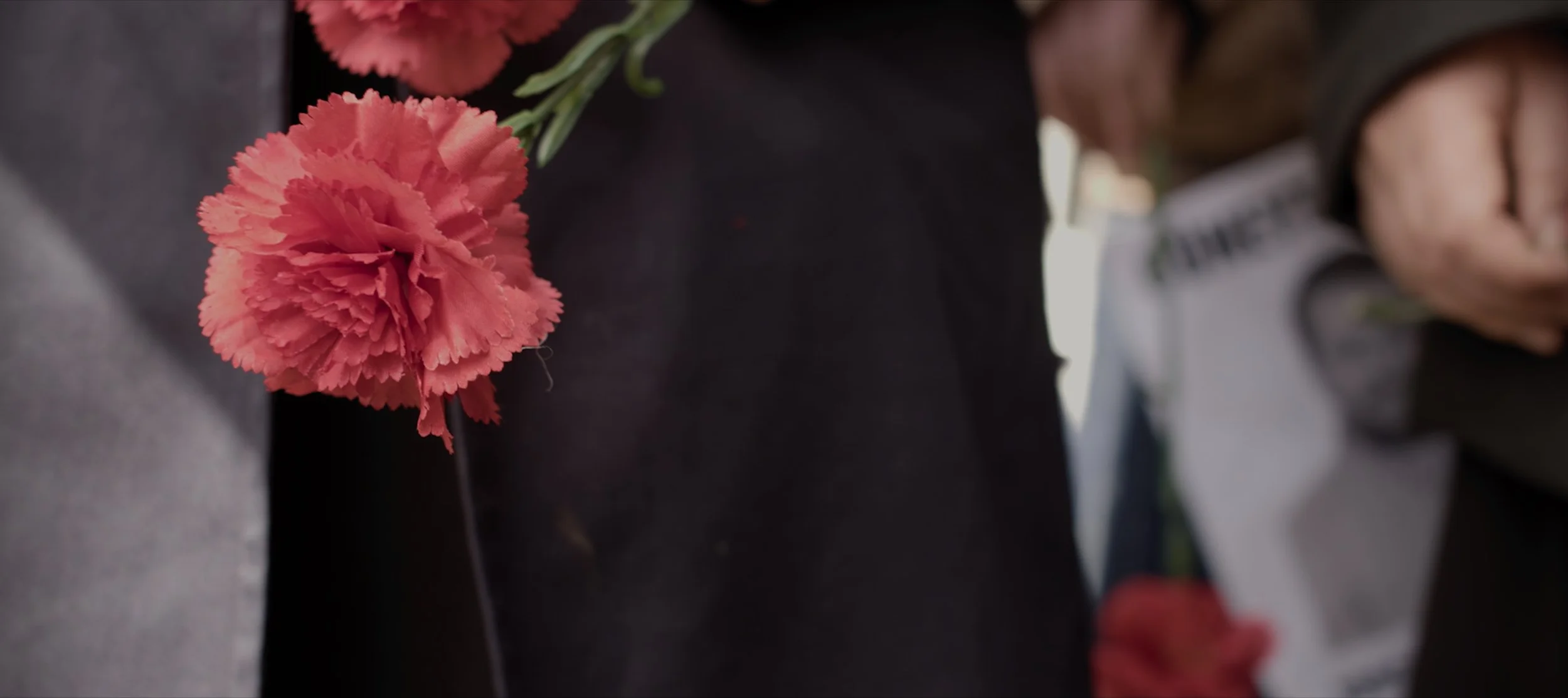 Still 2025-05-22 093426_1.48.1.jpg