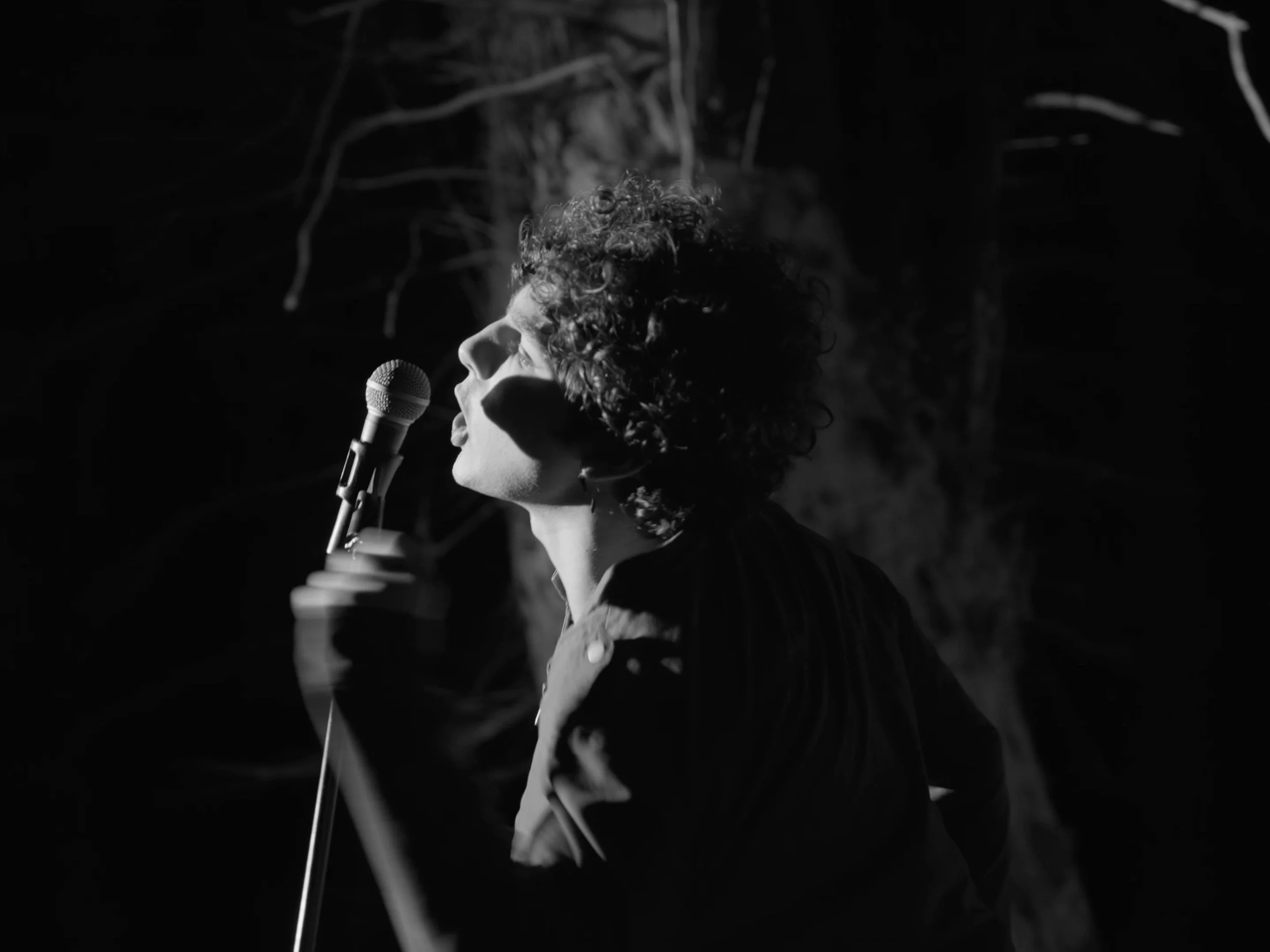 Still 2026-03-26 232722_1.1.4.jpg