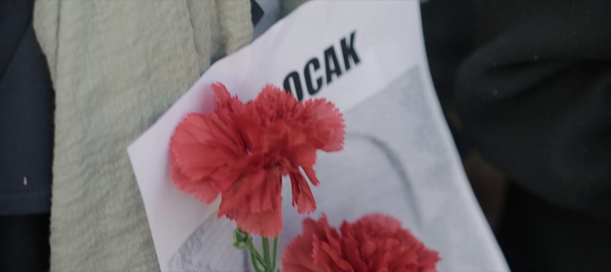 Still 2025-05-22 093426_1.50.1.jpg