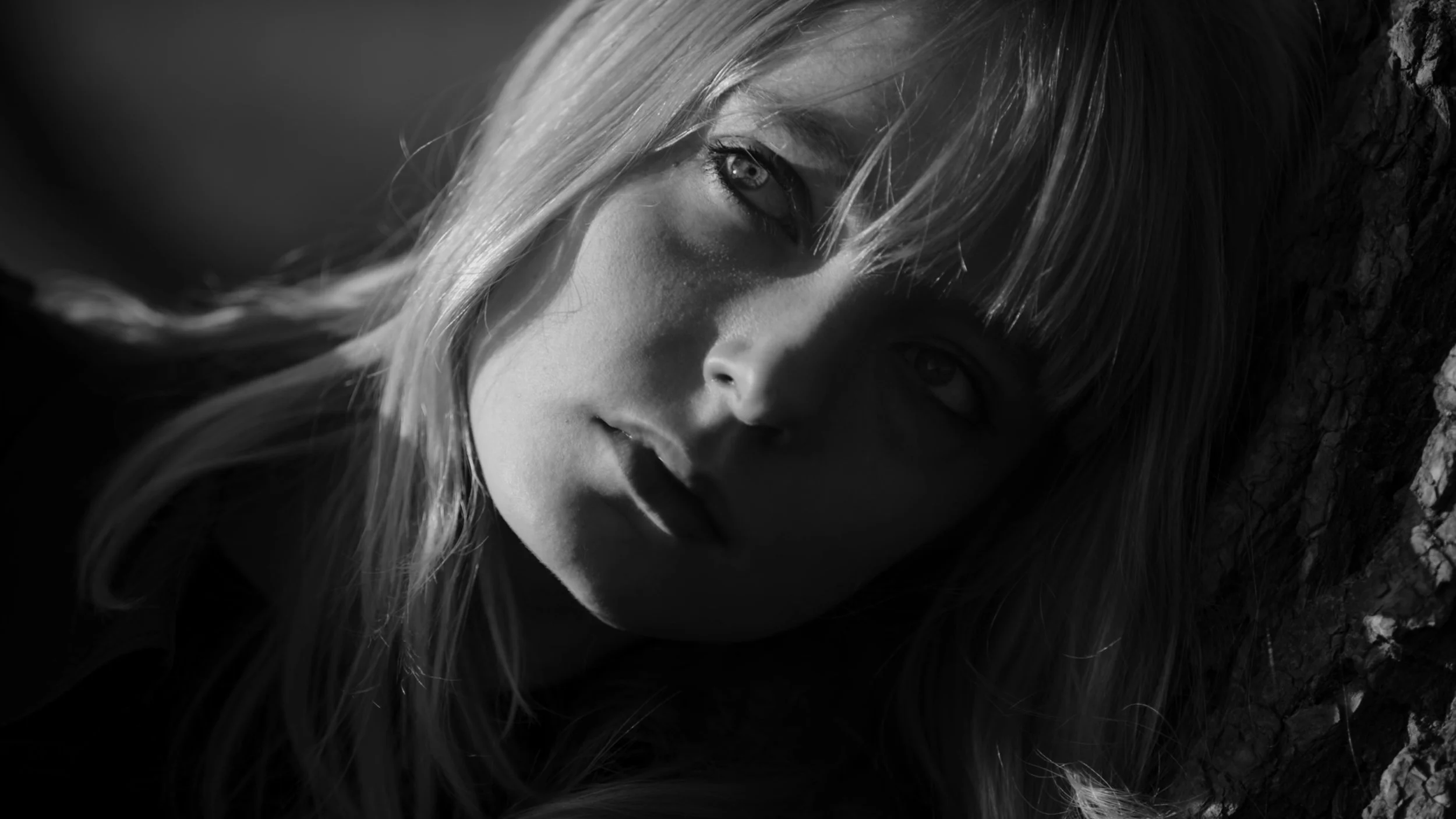 PILGRIMS STILL_1.6.1.jpg