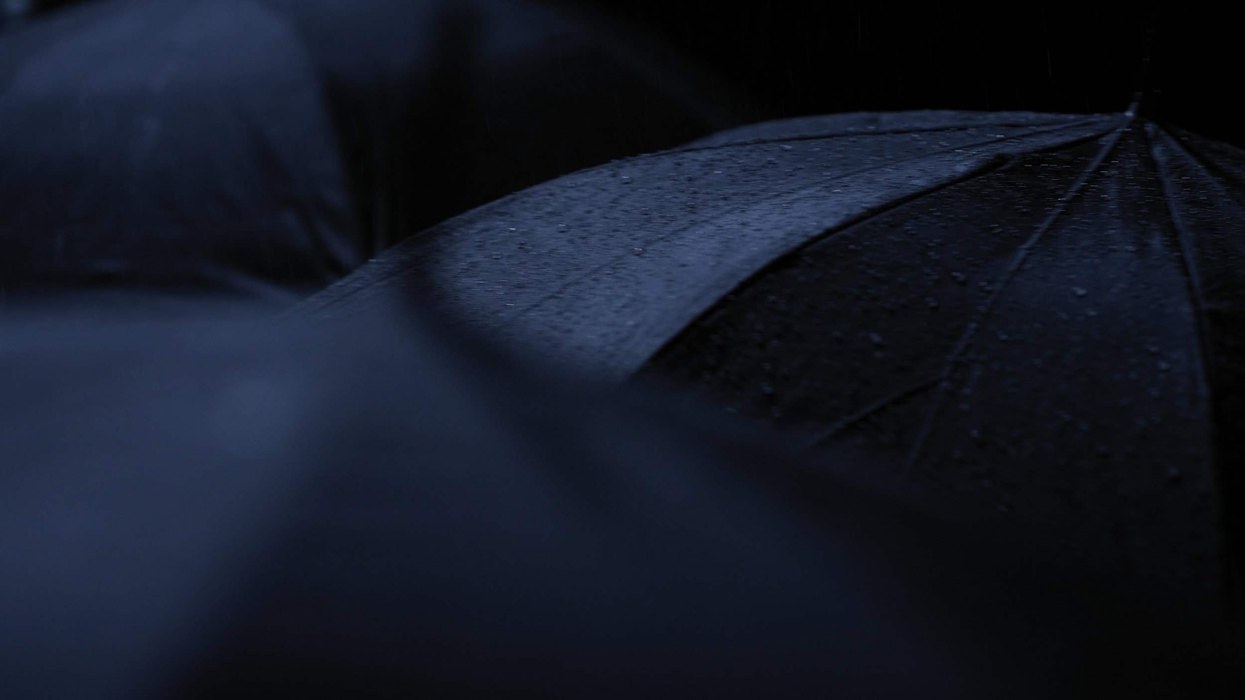 Still 2026-02-18 234023_1.3.1.jpg