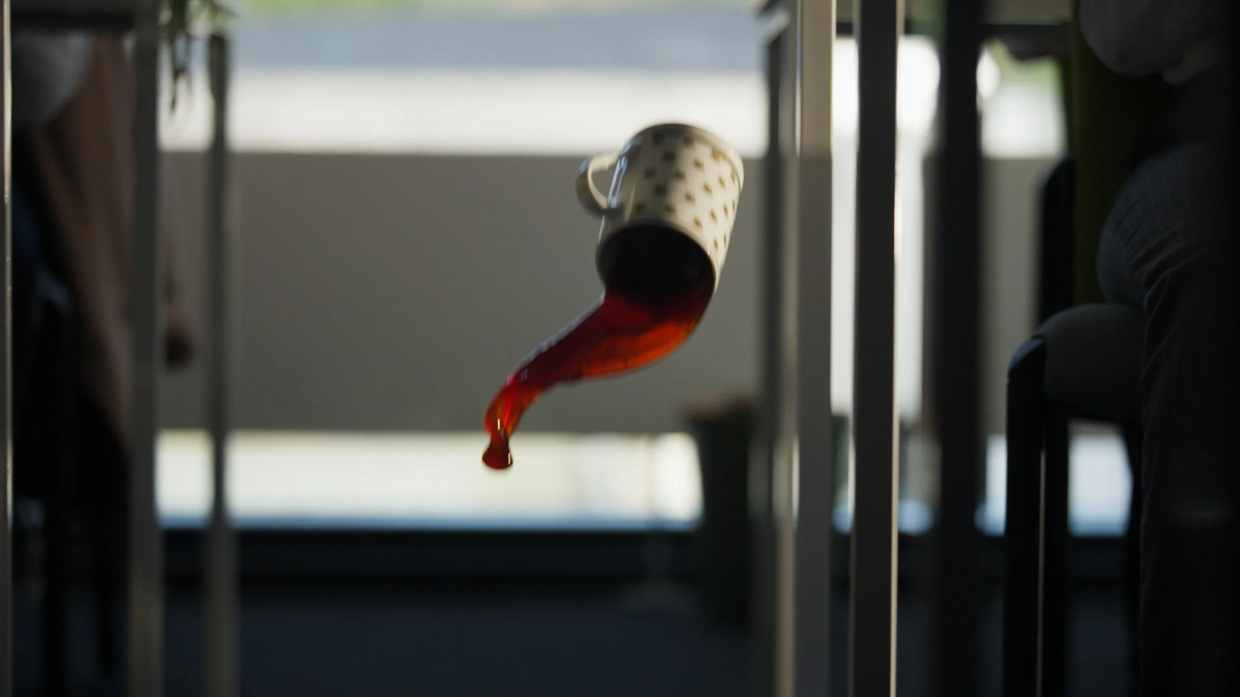 Still 2026-02-20 083751_1.5.1.jpg