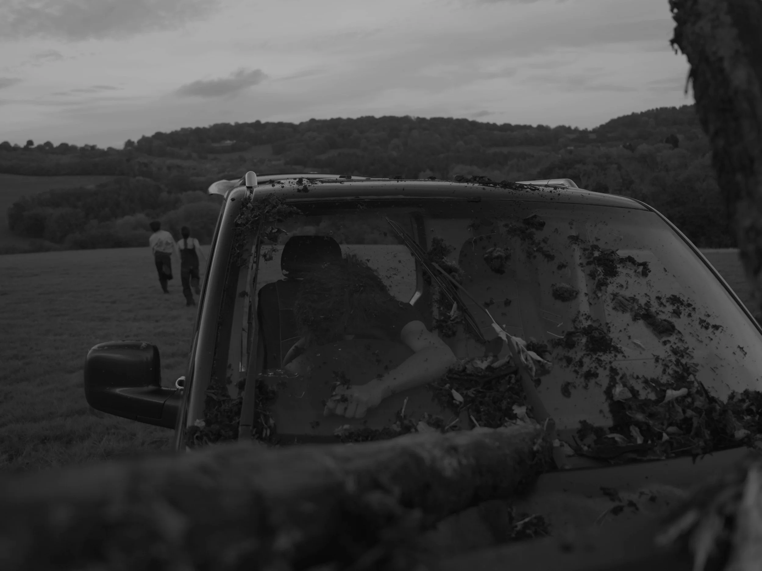 Still 2026-03-26 232722_1.1.15.jpg