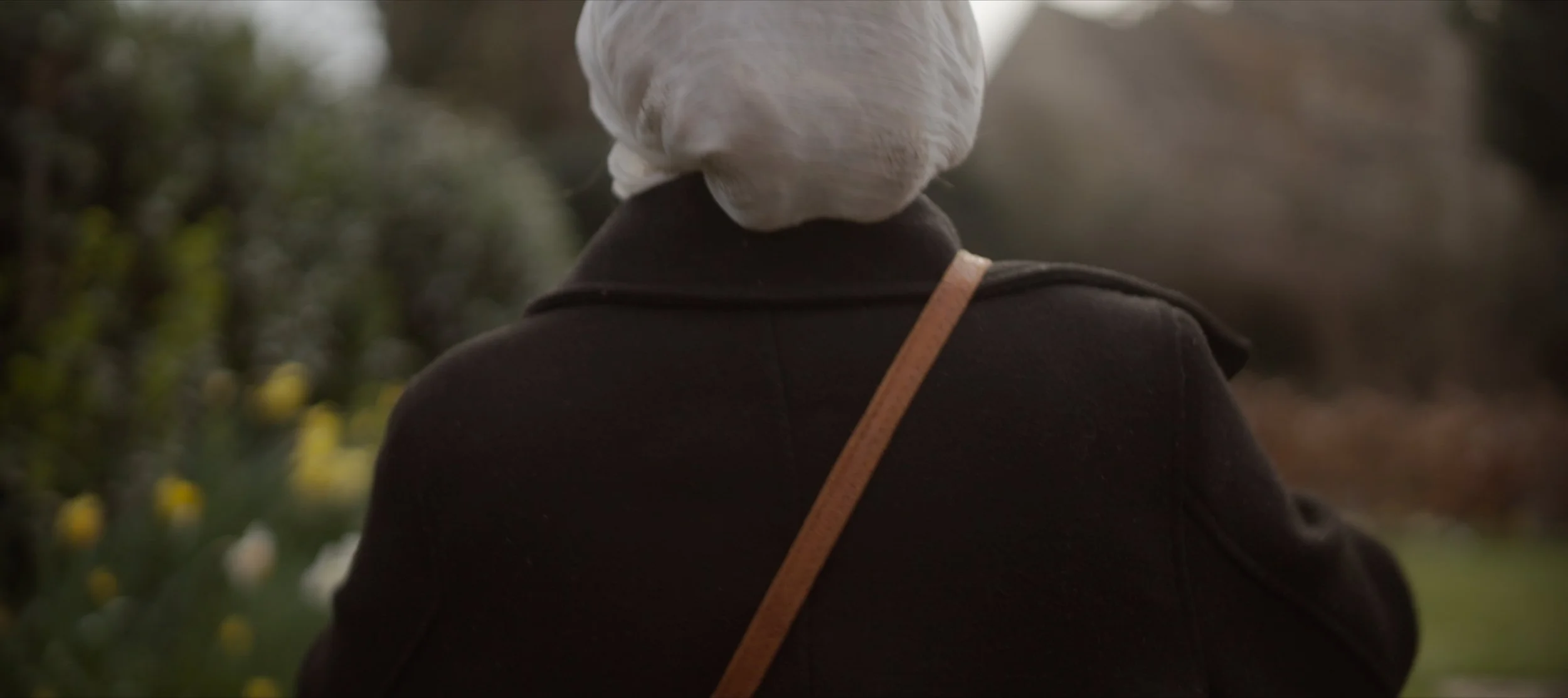 Still 2025-05-22 093426_1.46.1.jpg