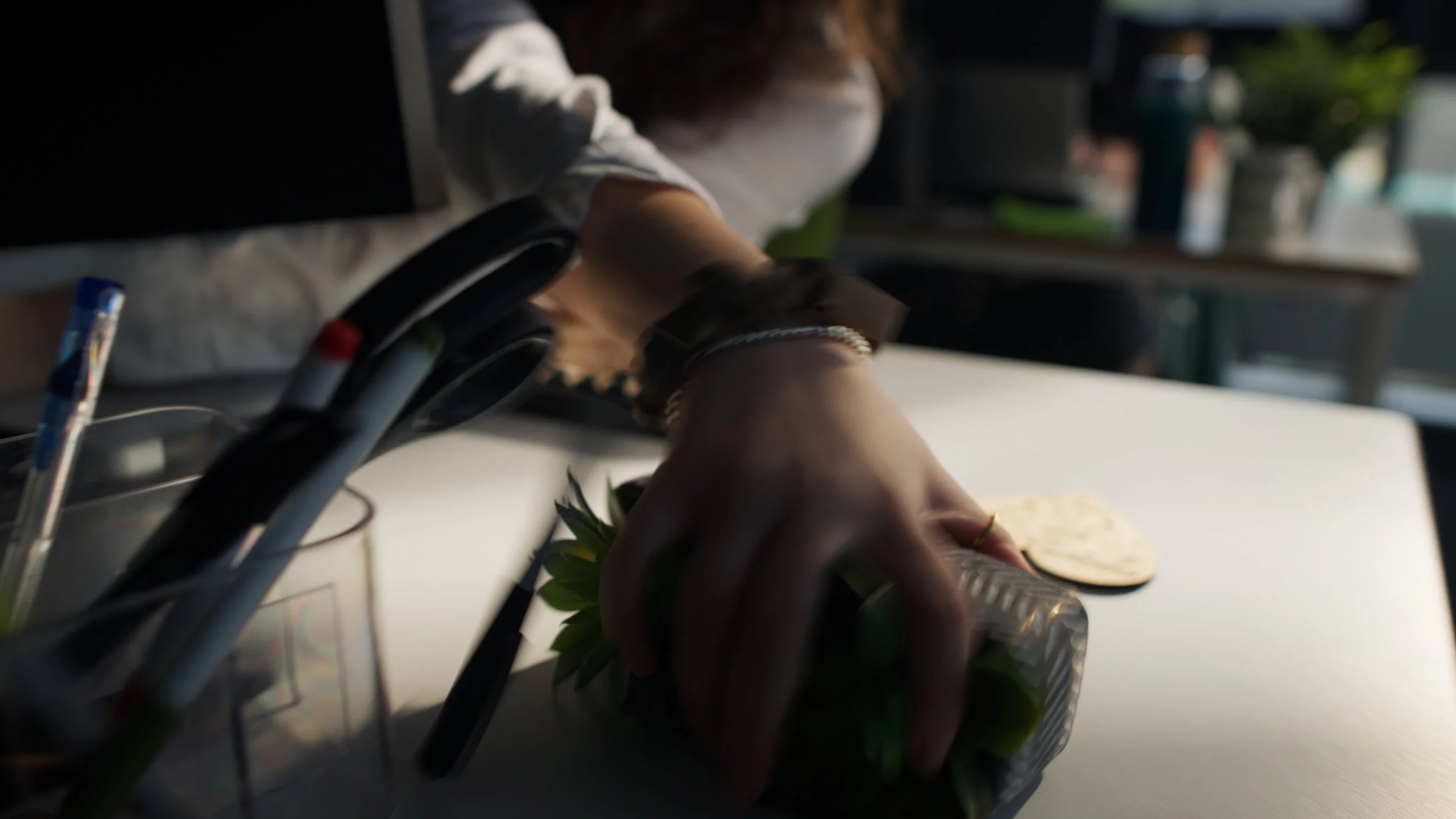 Still 2026-02-20 083751_1.2.1.jpg