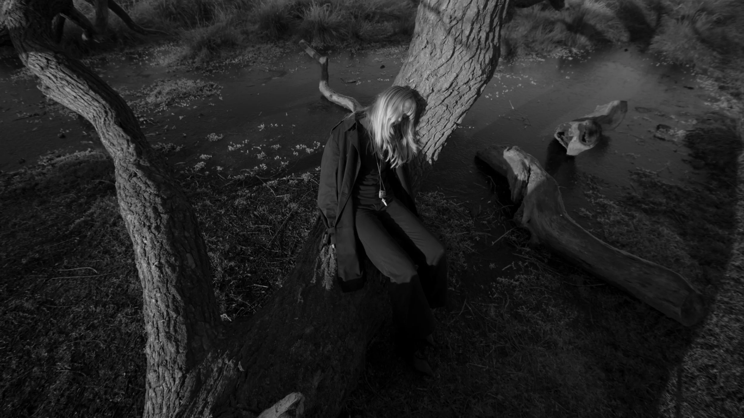 PILGRIMS STILL_1.5.1.jpg