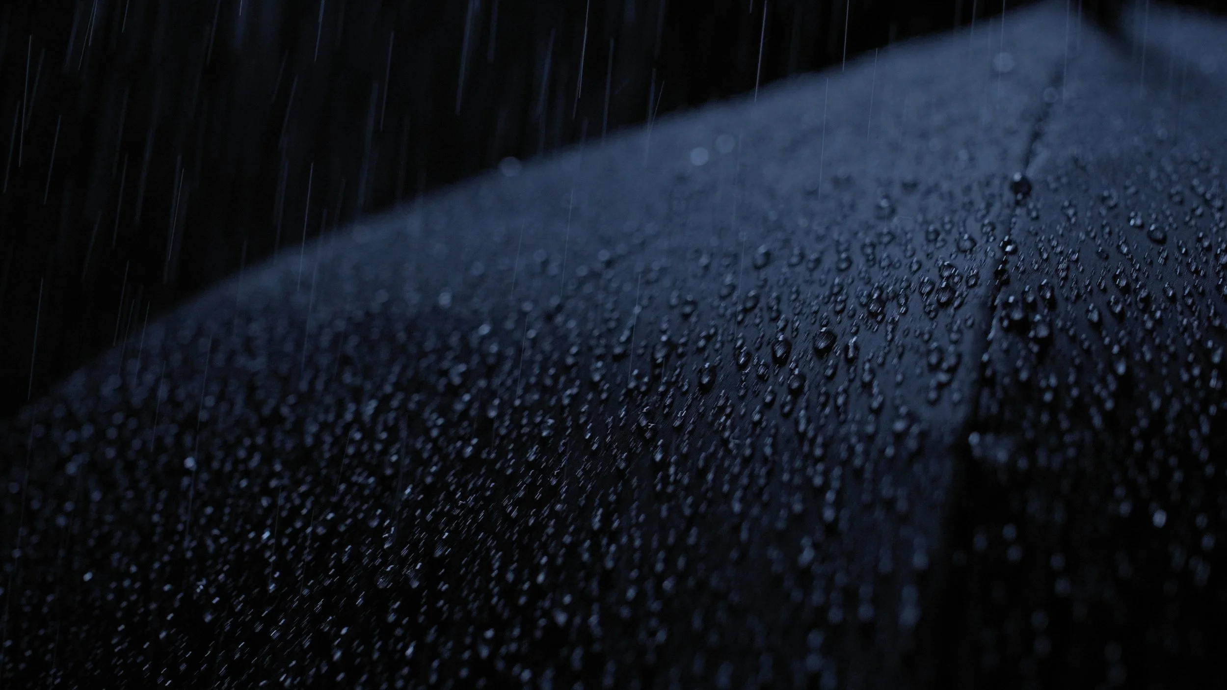 Still 2026-02-18 234023_1.7.1.jpg