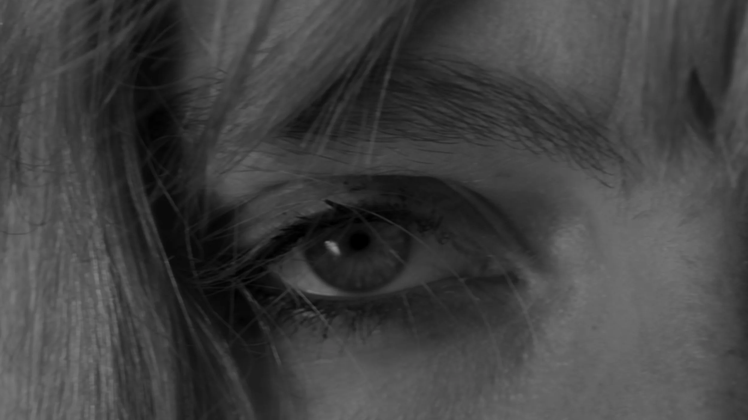 PILGRIMS STILL_1.10.1.jpg