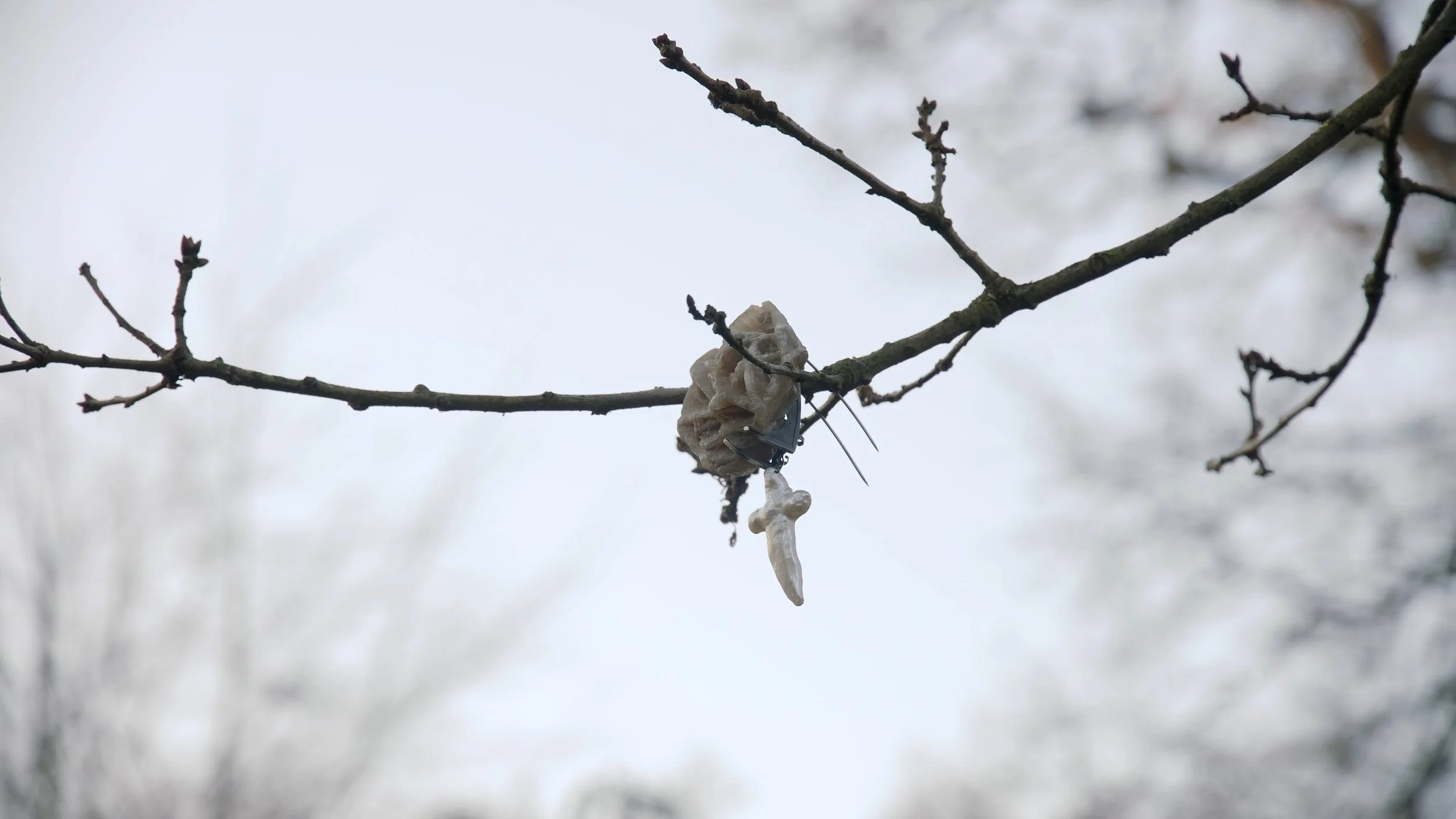 PILGRIMS STILL_1.27.1.jpg