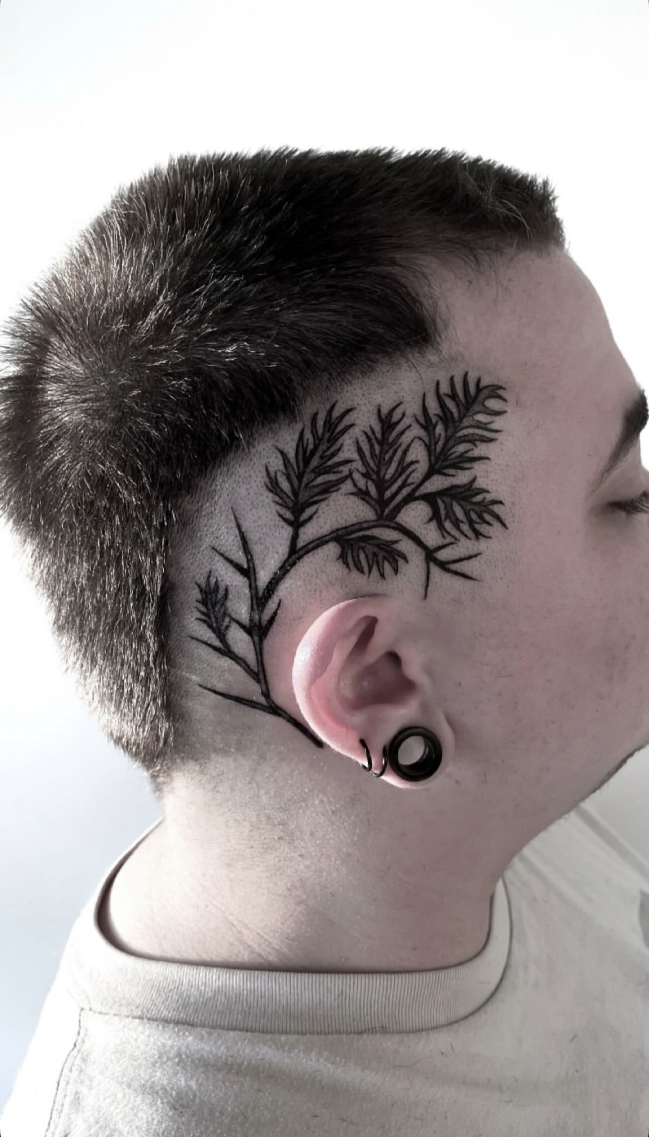 Screenshot 2026-02-03 at 9.10.48 PM.png