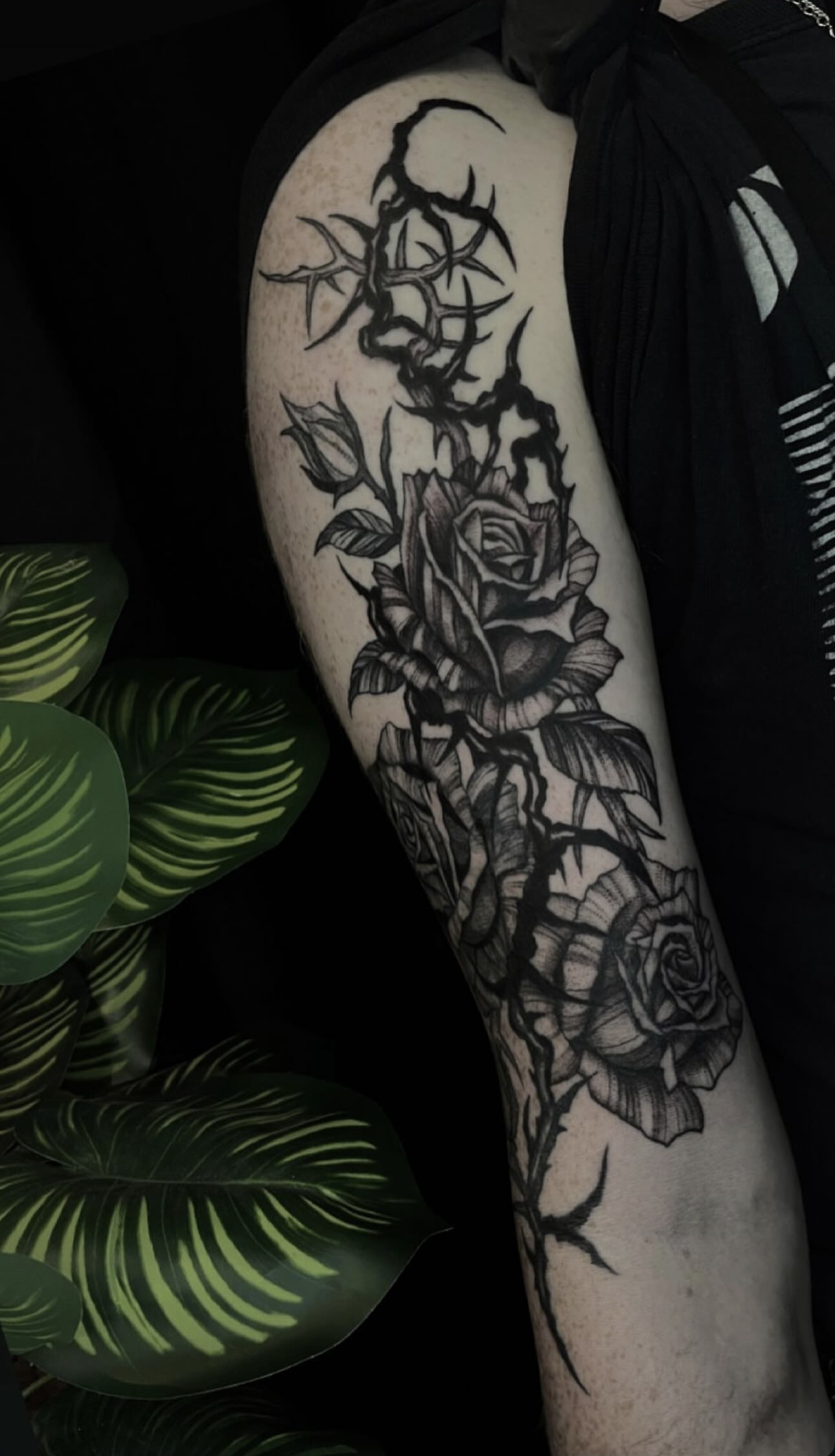 Screenshot 2026-02-03 at 9.10.43 PM.png