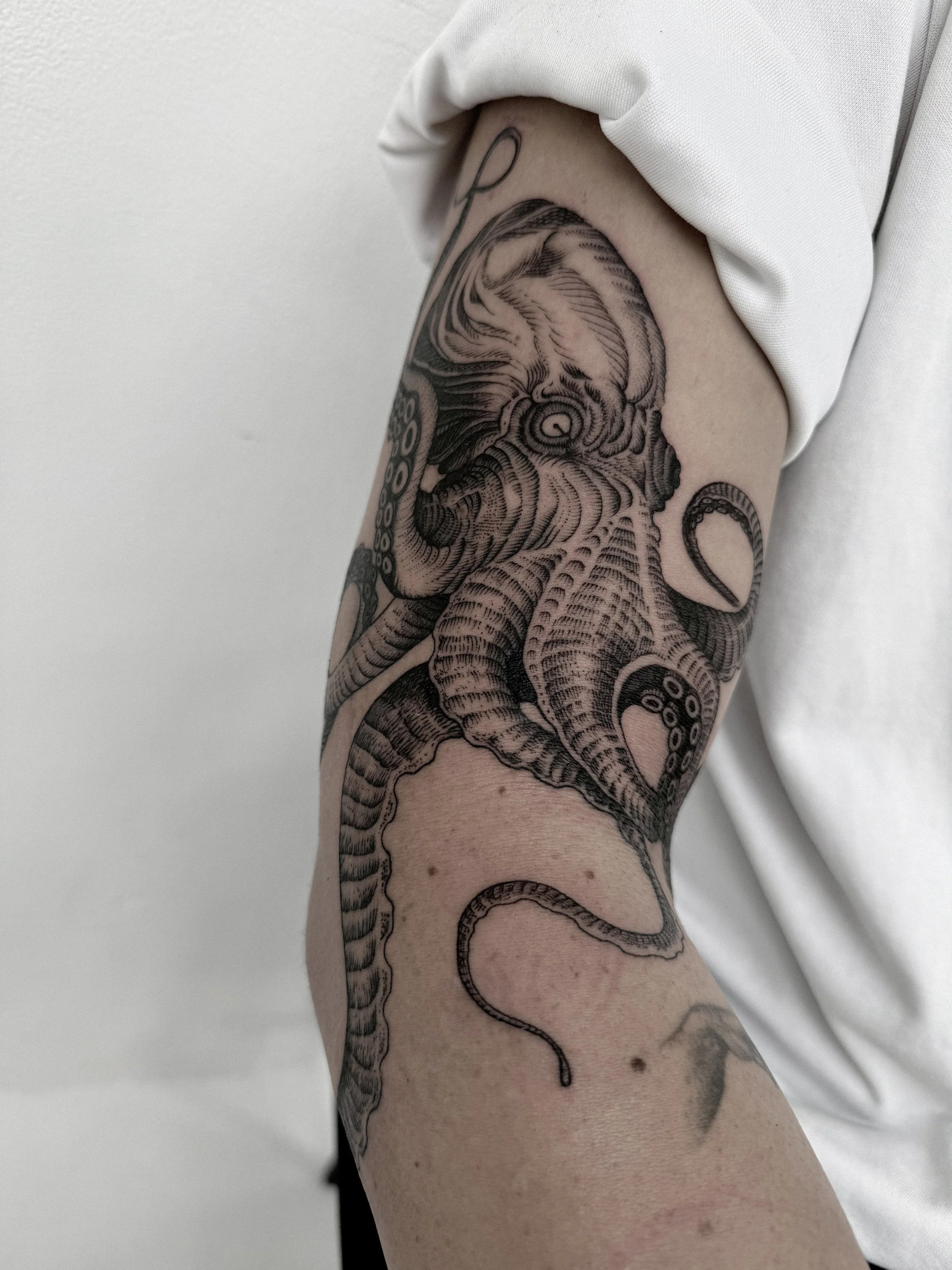 Иллюстрация_без_названия 2.jpg