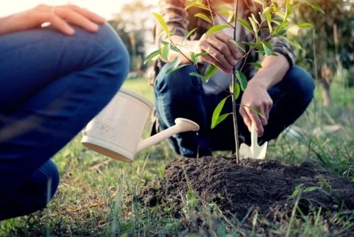 ESG for beginners: The basics you need to know about ESG investing