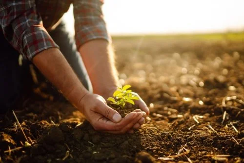 Your guide to ESG investing and why it matters to your workplace pension scheme