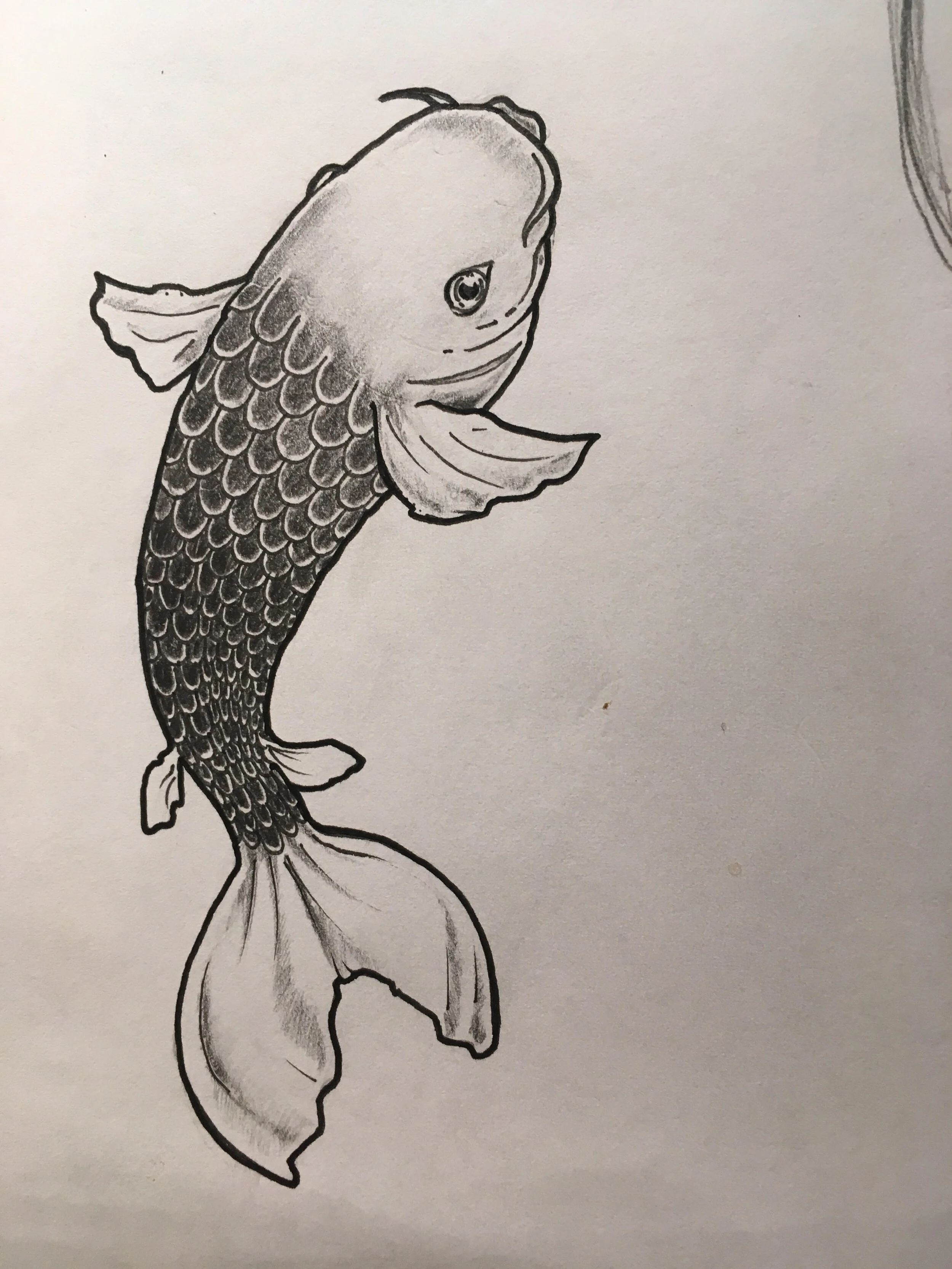 Koi.jpg