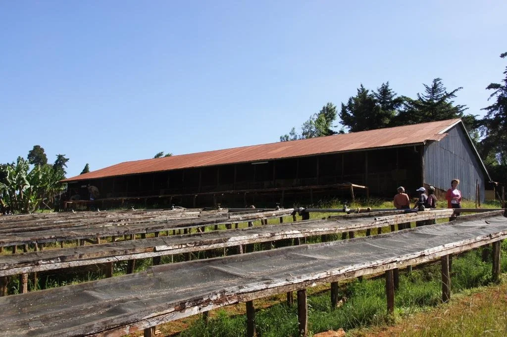 Tegu washing station.jpg