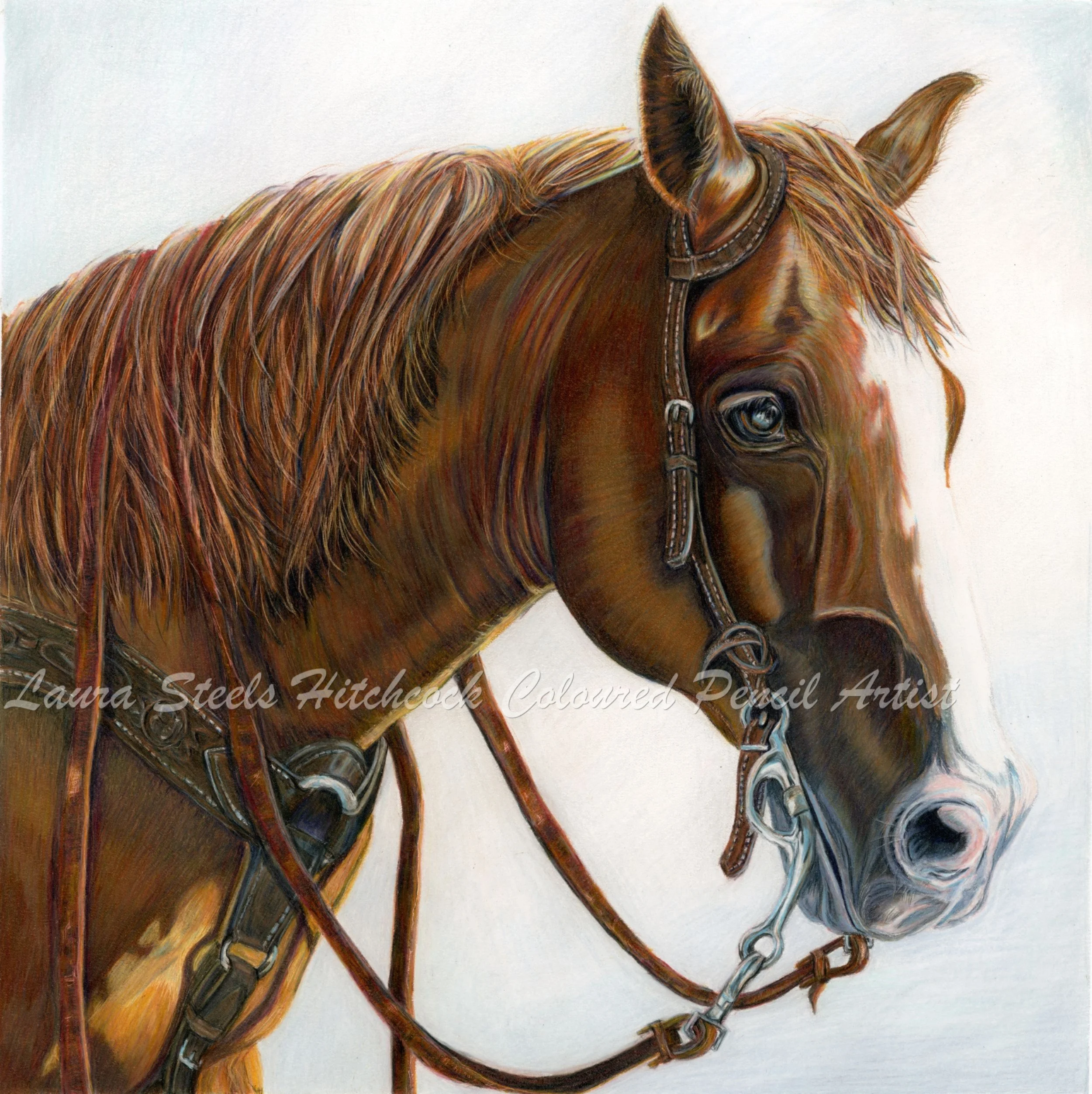 Doc 16x16 Commission