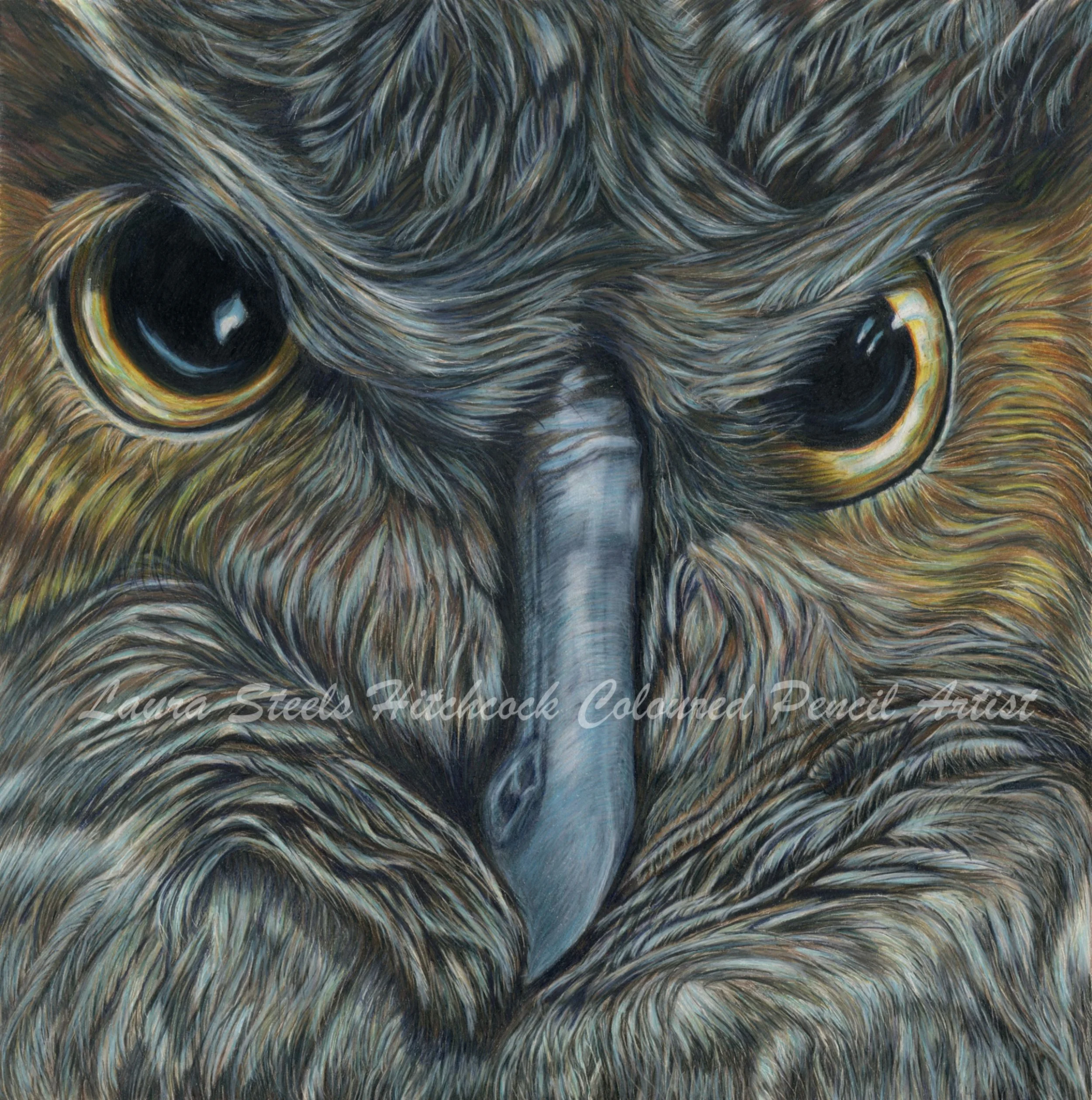 See Me, Zoo Series #1