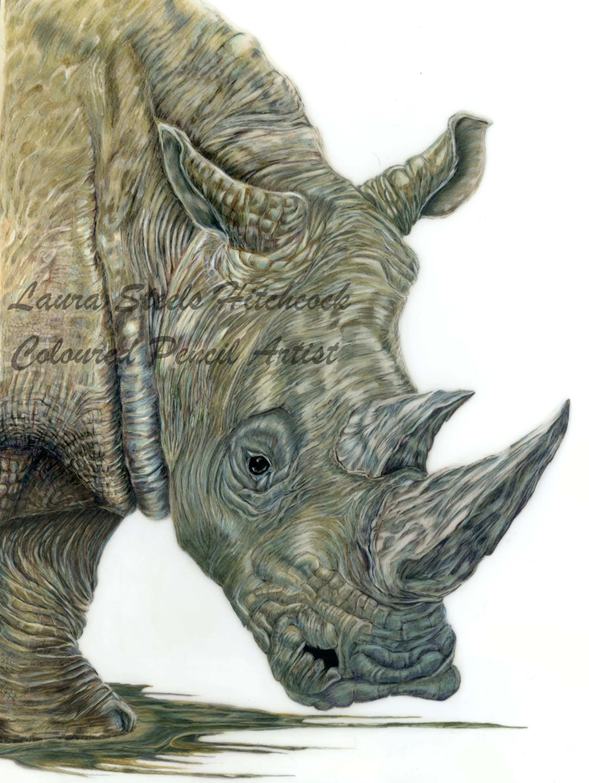 See Me, Zoo Series #2 18x24