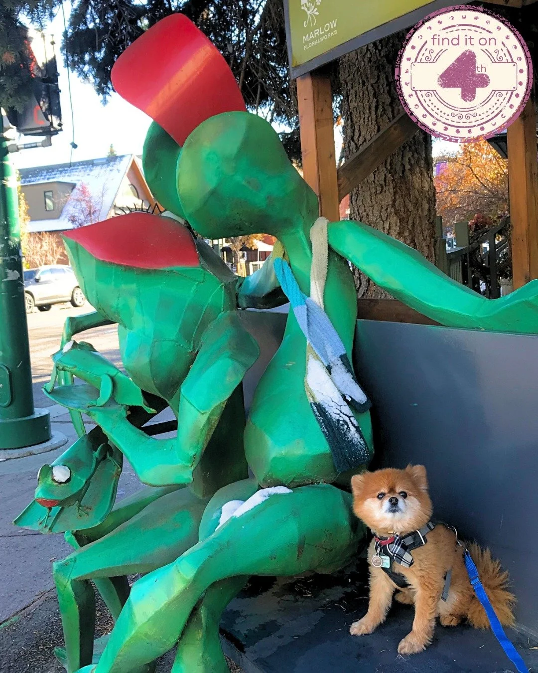 Does your dog like the frogs? 🤔🐸
If not, race past 'em and let your pet enjoy immense scents from one of the city&rsquo;s best florists at @marlowfloralworks 🌸 Want to find out a little more about the flowers? @shelflifebooks are always keen to ke