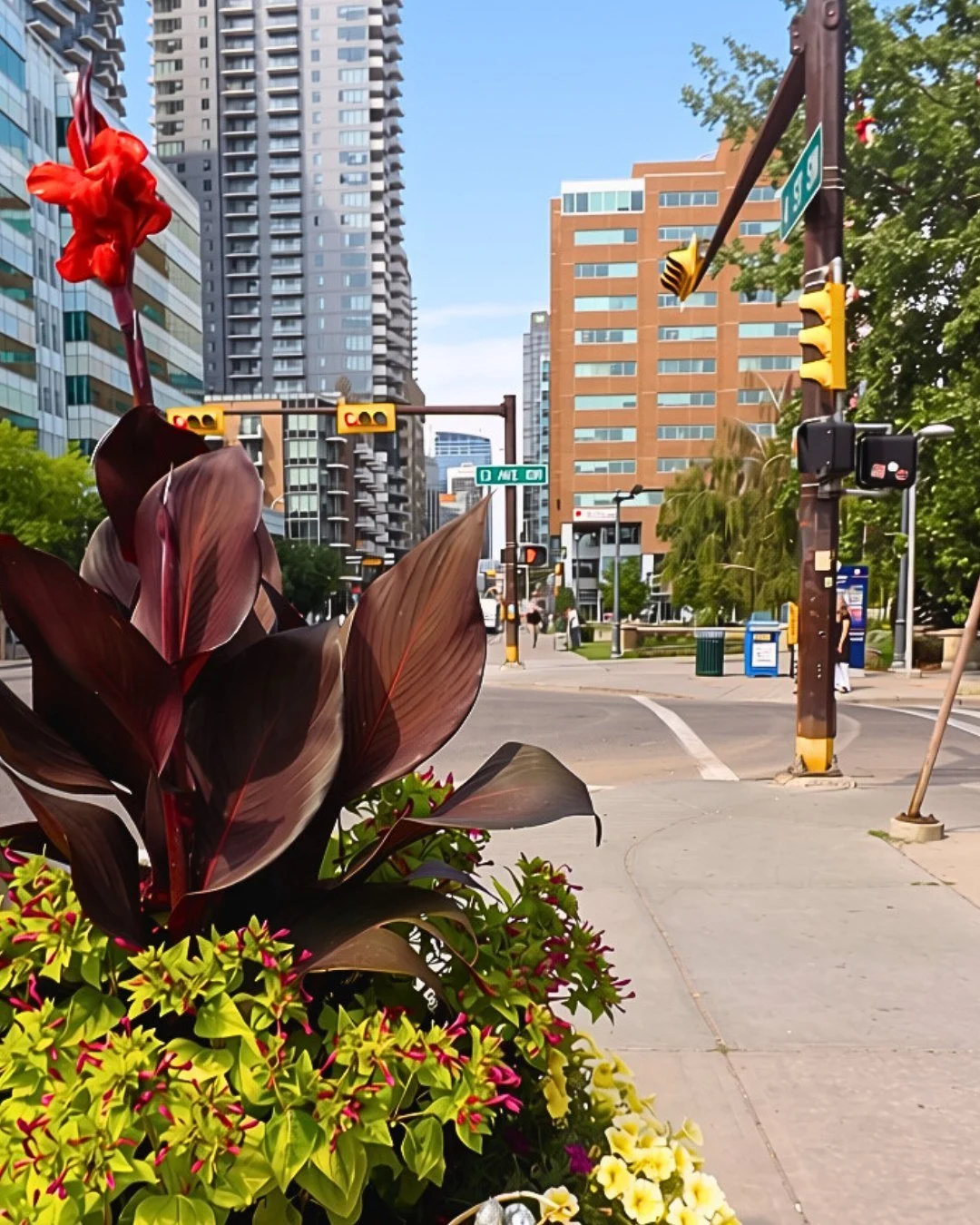 Come visit your favourite 4th Street business this long weekend 👋
