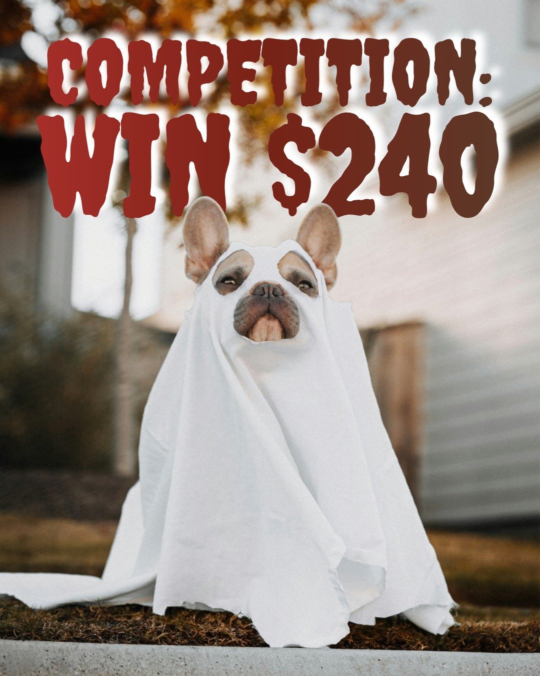 🎃COMPETITION TIME🎃
Halloween is just around the corner, and we've got a spooktacular competition where you can win a massive ✨$240✨ for a participating Fourth Street business of your choice, including @vinroomyyc, @duerperformance, @uptownnailbouti