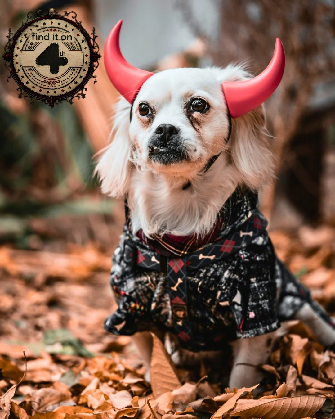 🎃WIN $240 THIS WEEK🎃
Halloween is right around the corner, and we're giving away a gift card worth ✨$240✨ for a participating Fourth Street business of your choice, including @uptownnailboutique, @fm.hair.yyc, @oeb_breakfast, @bodegabysabor, @clubp