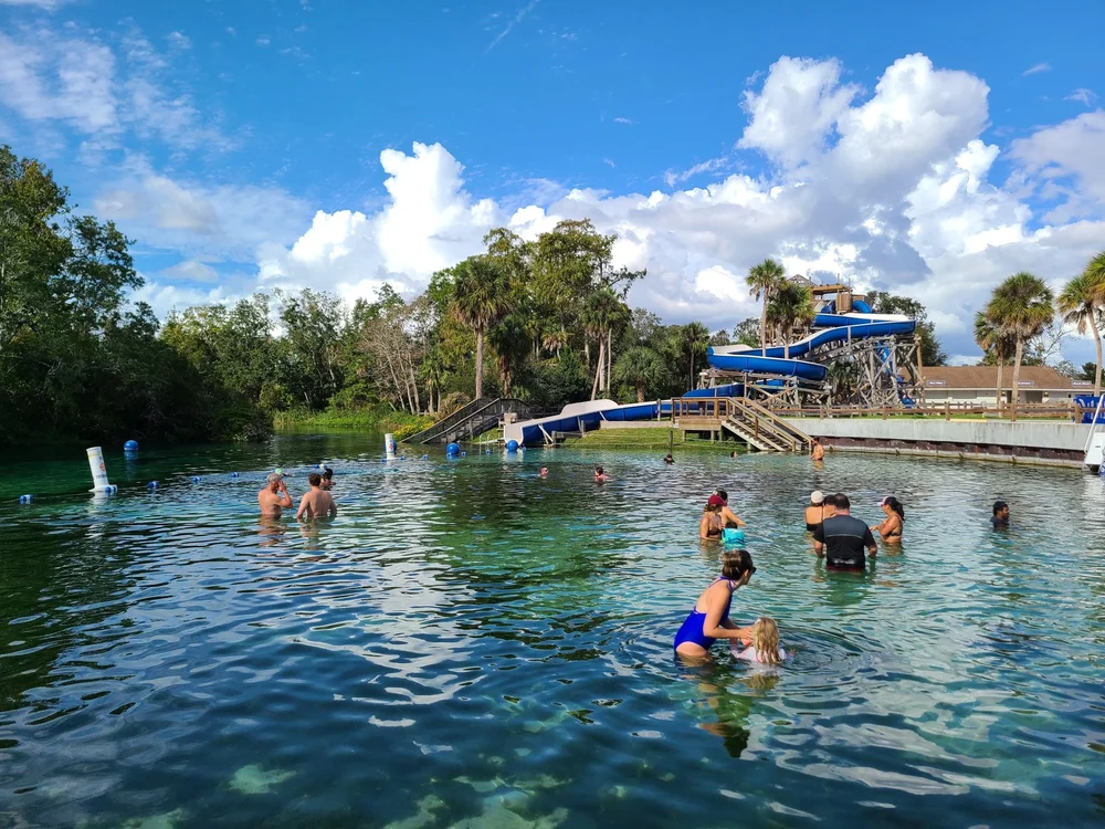 weekiwachee2022-11-08 at 4.21.40 PM 5.jpeg