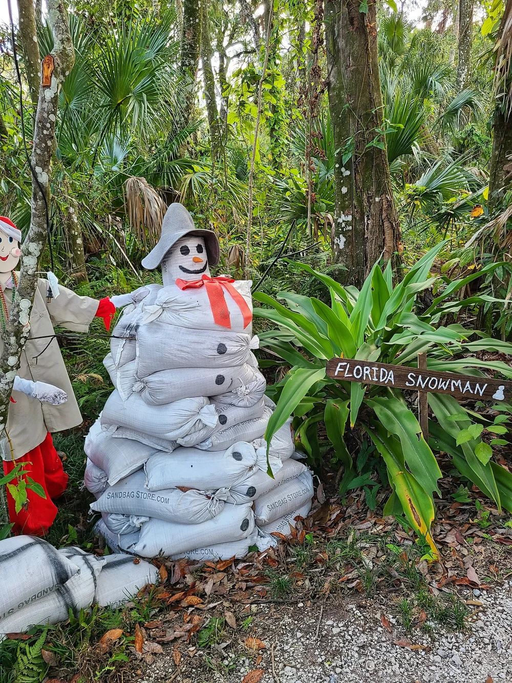 weekiwachee2022-11-08 at 4.21.40 PM 8.jpeg