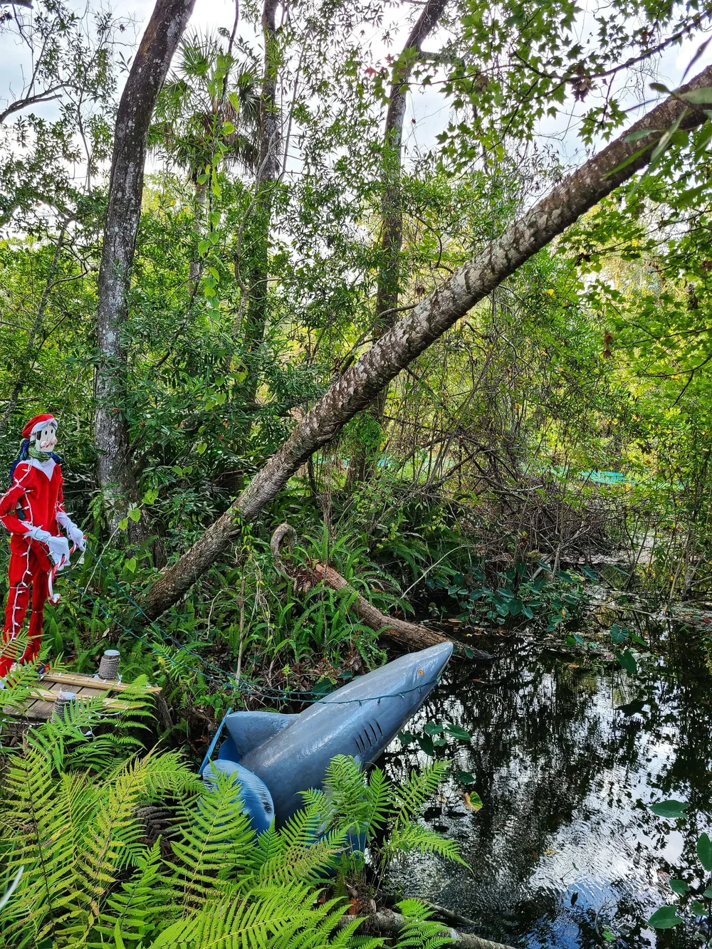 weekiwachee2022-11-08 at 4.21.40 PM 7.jpeg