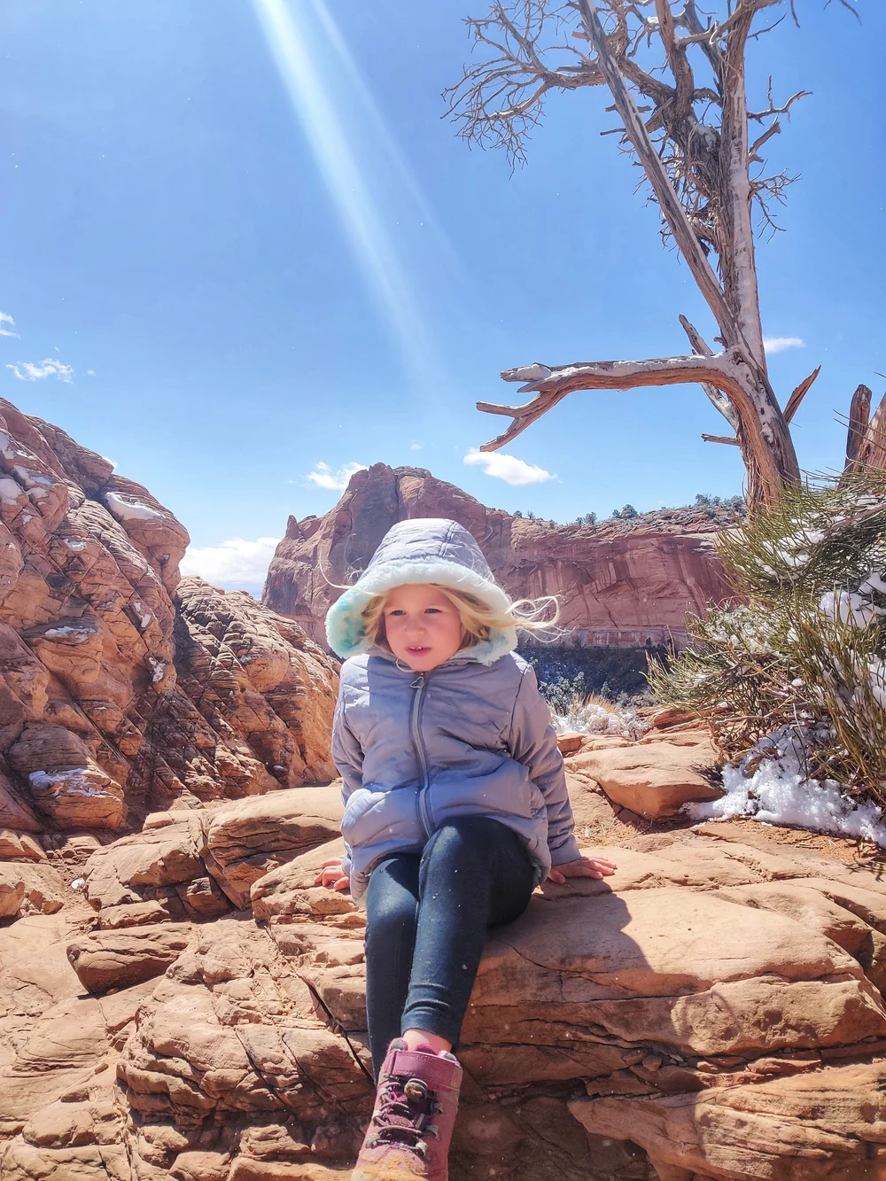 canyonland2022-04-24 at 10.18.27 PM 3.jpeg