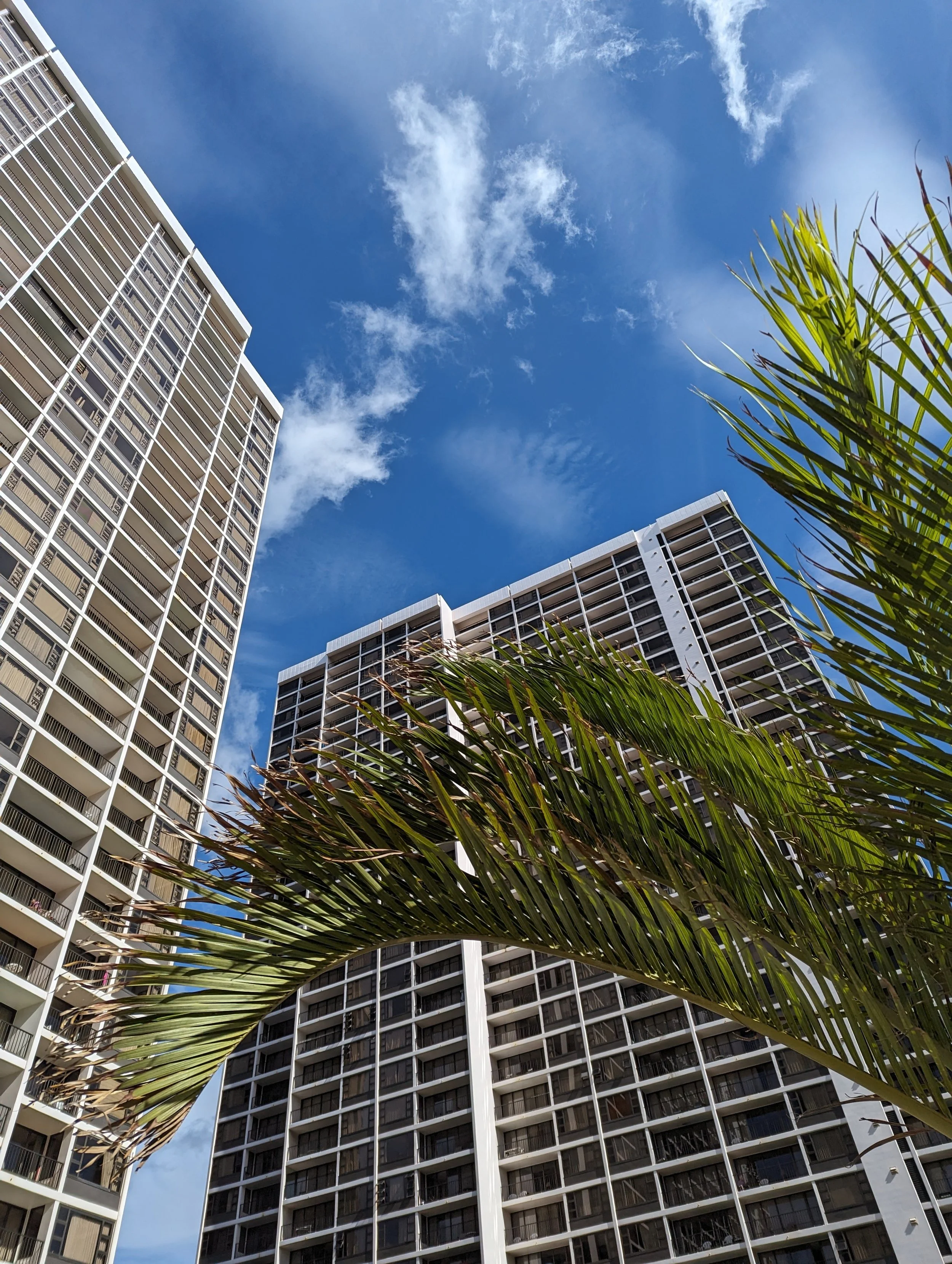 Dormir à Waikiki en famille sans exploser le budget :