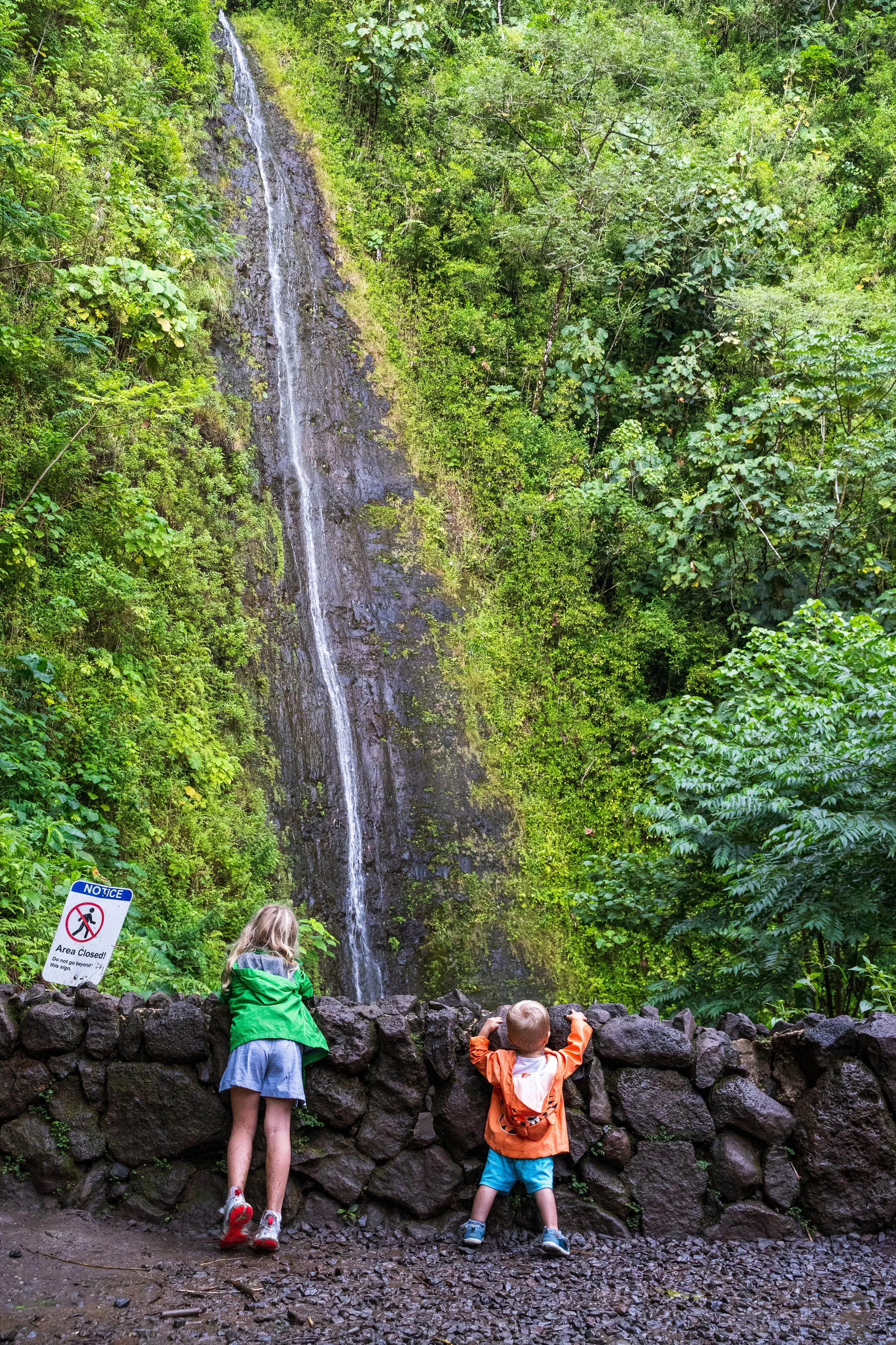 manoa falls__JSC9013 EDIT.jpg