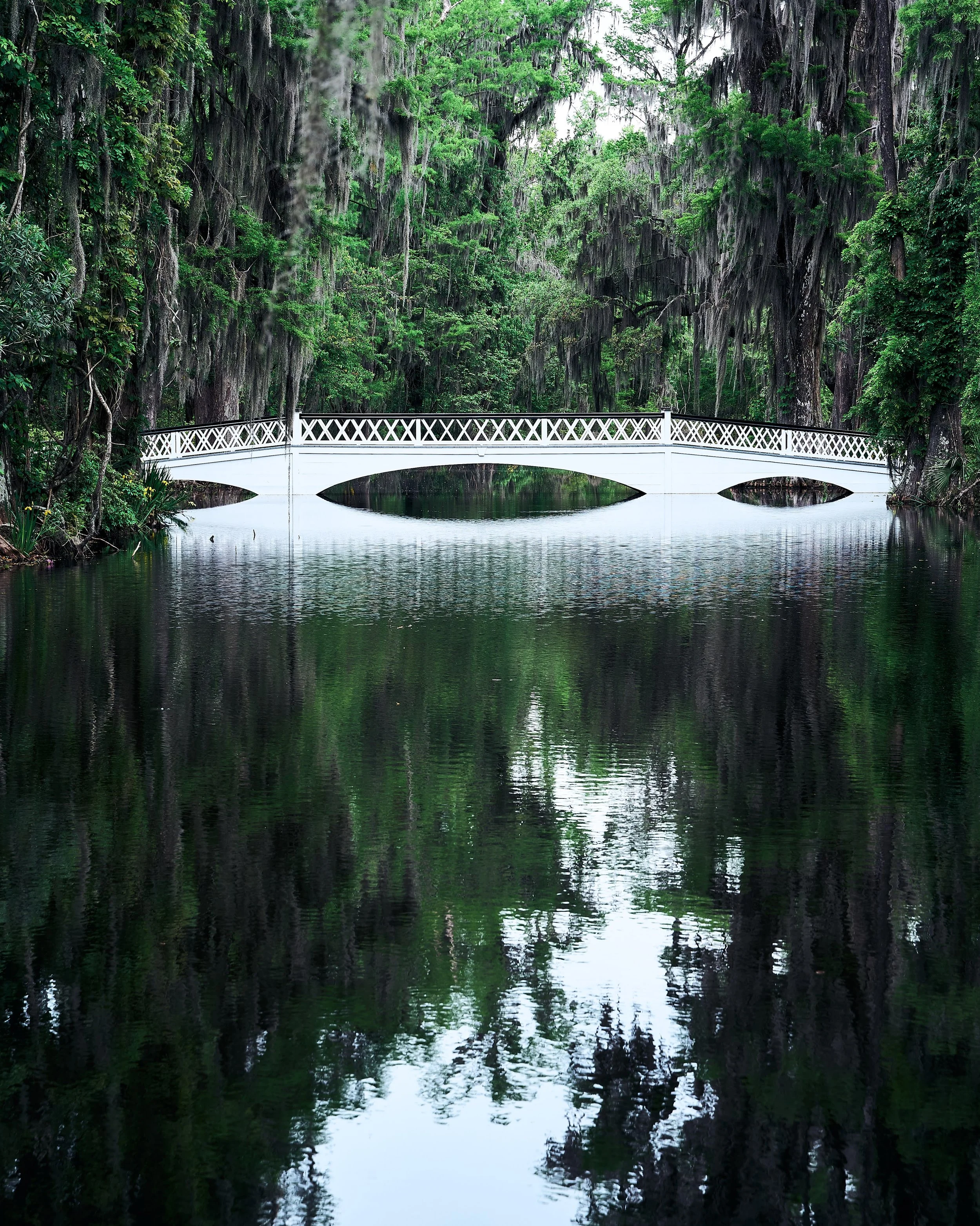 Plantation _JSC6200.jpg