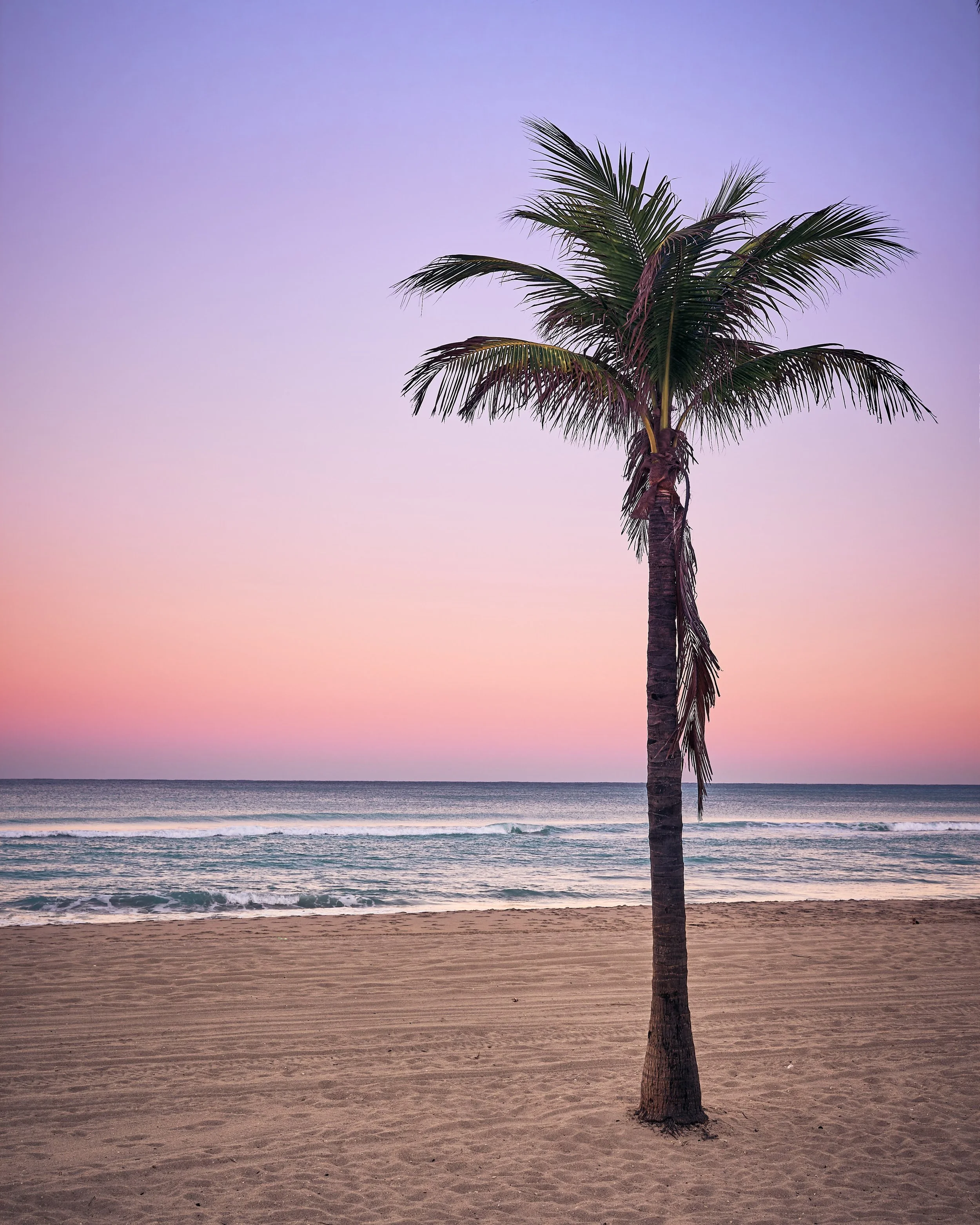 Hollywood beach2022-11-28 at 9.13.22 PM 4.jpg