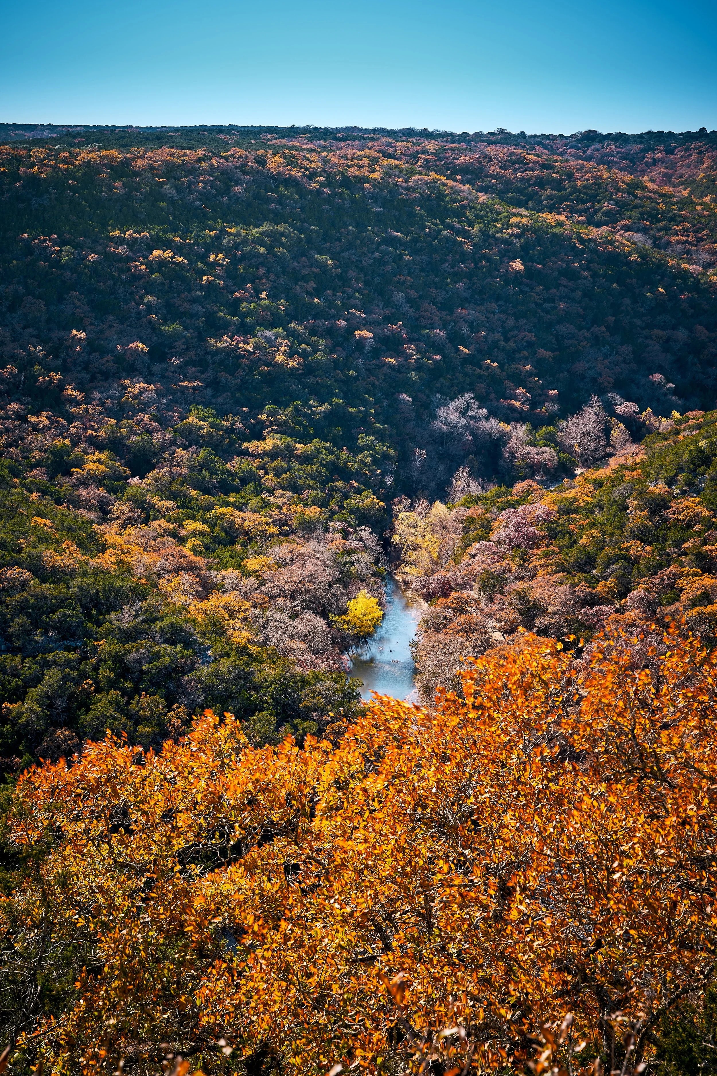 SA Lost Maples_JSC3569.jpg