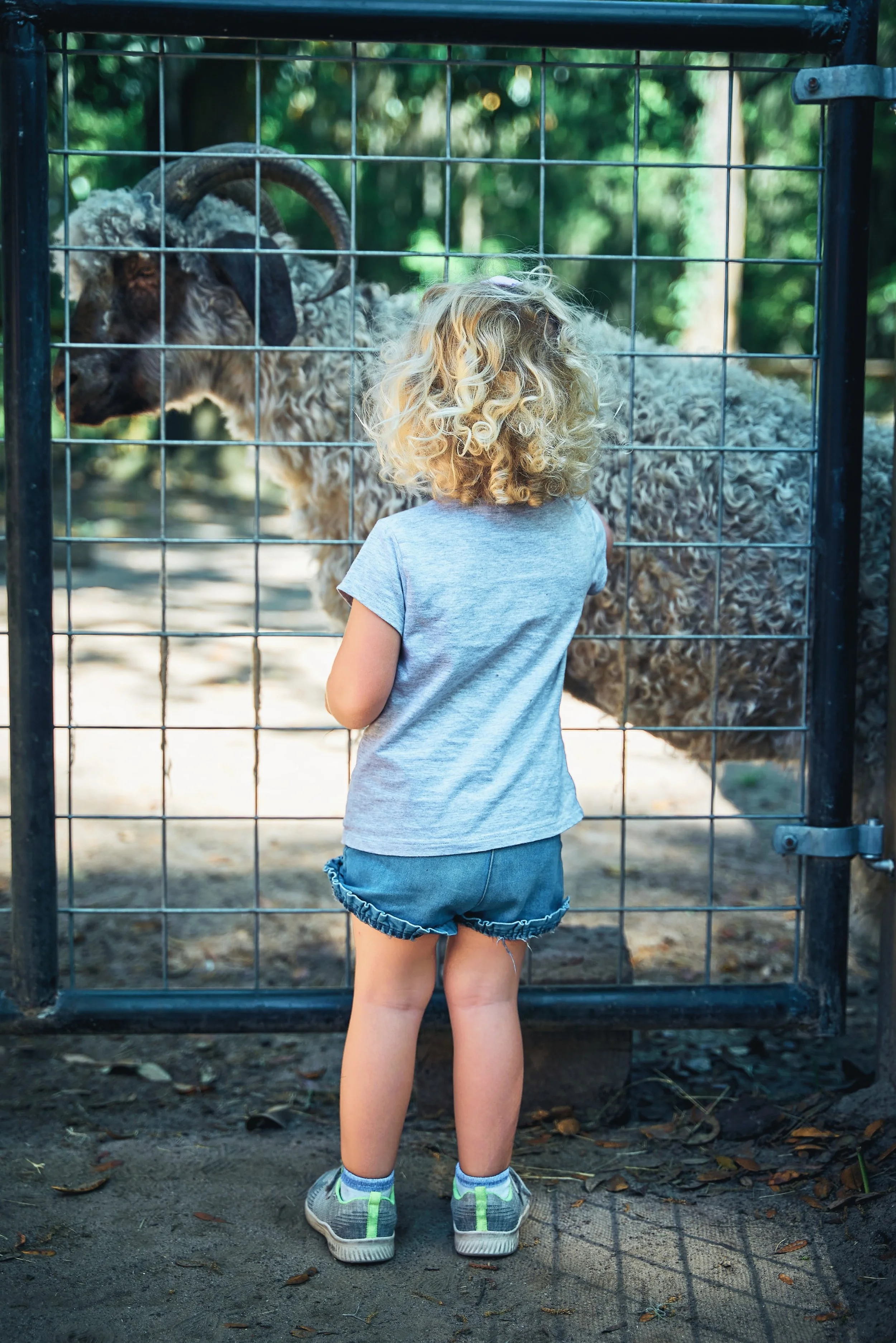 Oatland _JSC6072.jpg