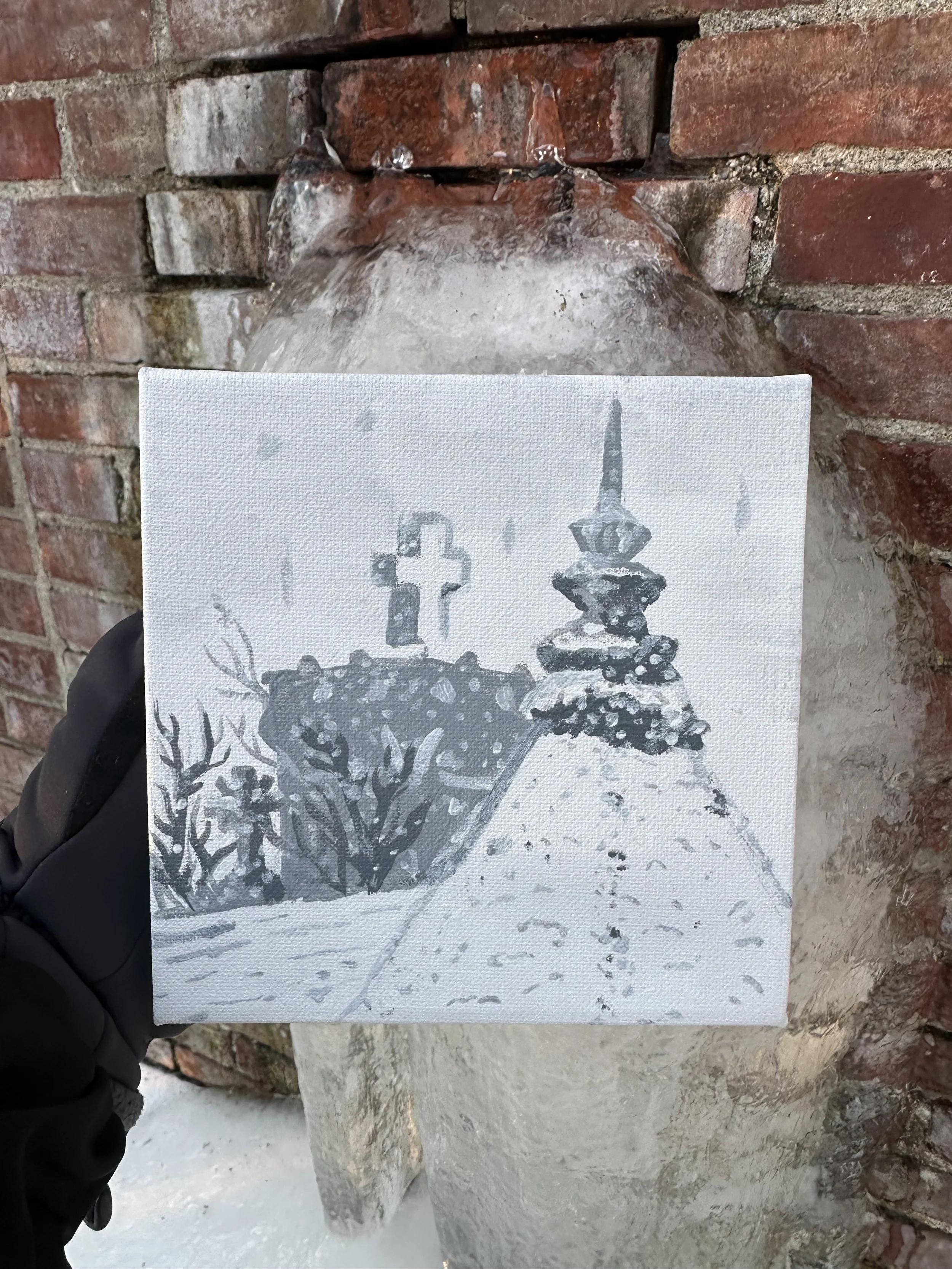 January Storm in Bethlehem