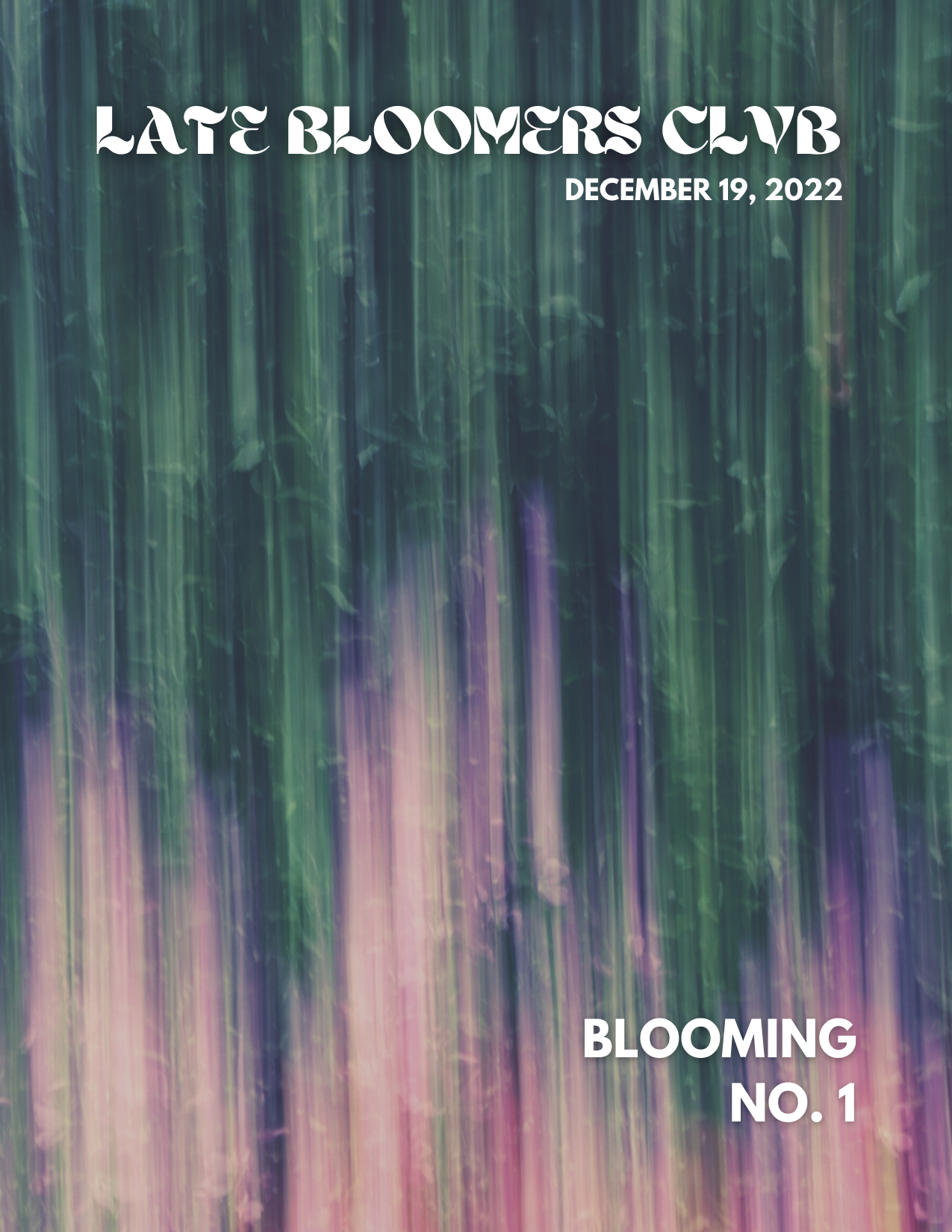 LATE BLOOMERS CLVB (4.25 × 5.5 in).png
