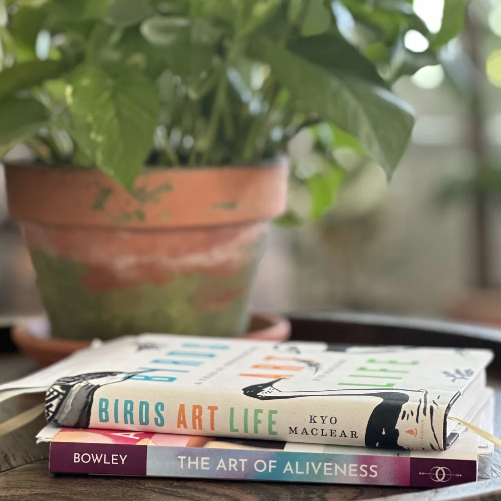 Heidi Stavinga Studio