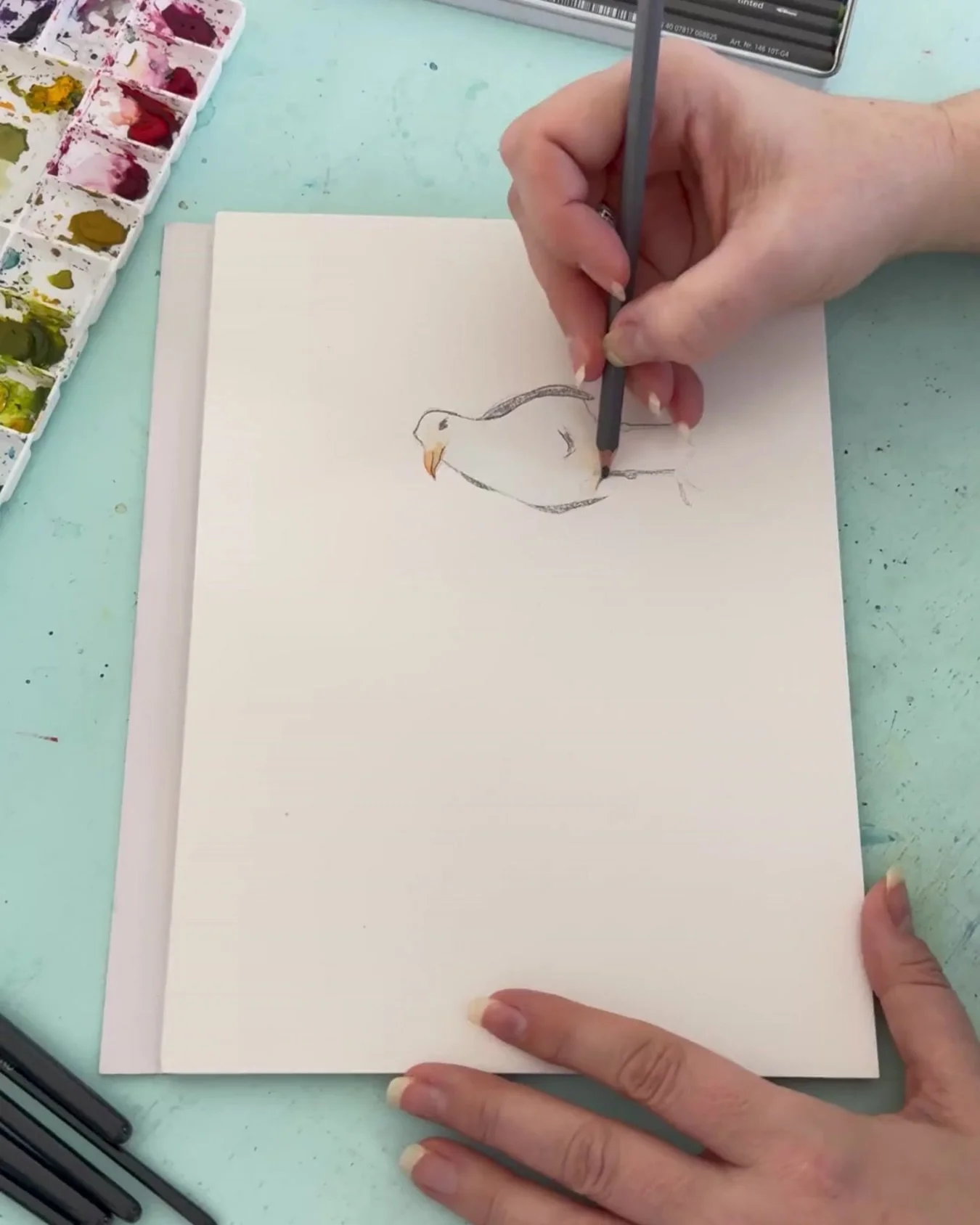 Sketching in January = my favorite kind of quiet. 
Just a little pencil, a blank page, and a tiny seabird coming to life, one soft line at a time.