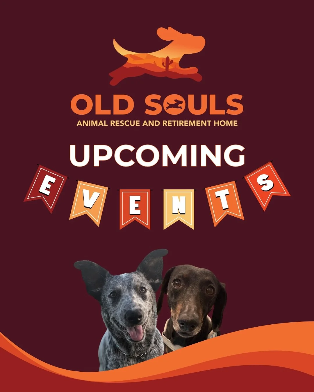 We&rsquo;ve got a boo-tiful lineup of events you won&rsquo;t want to miss this October 👻

Mark your calendars &amp; come support Old Souls at these fun events!

10/16 &ndash; @azdogsndenim Fashion Show👖
5&ndash;7pm | McClelland Park
(You may see a 