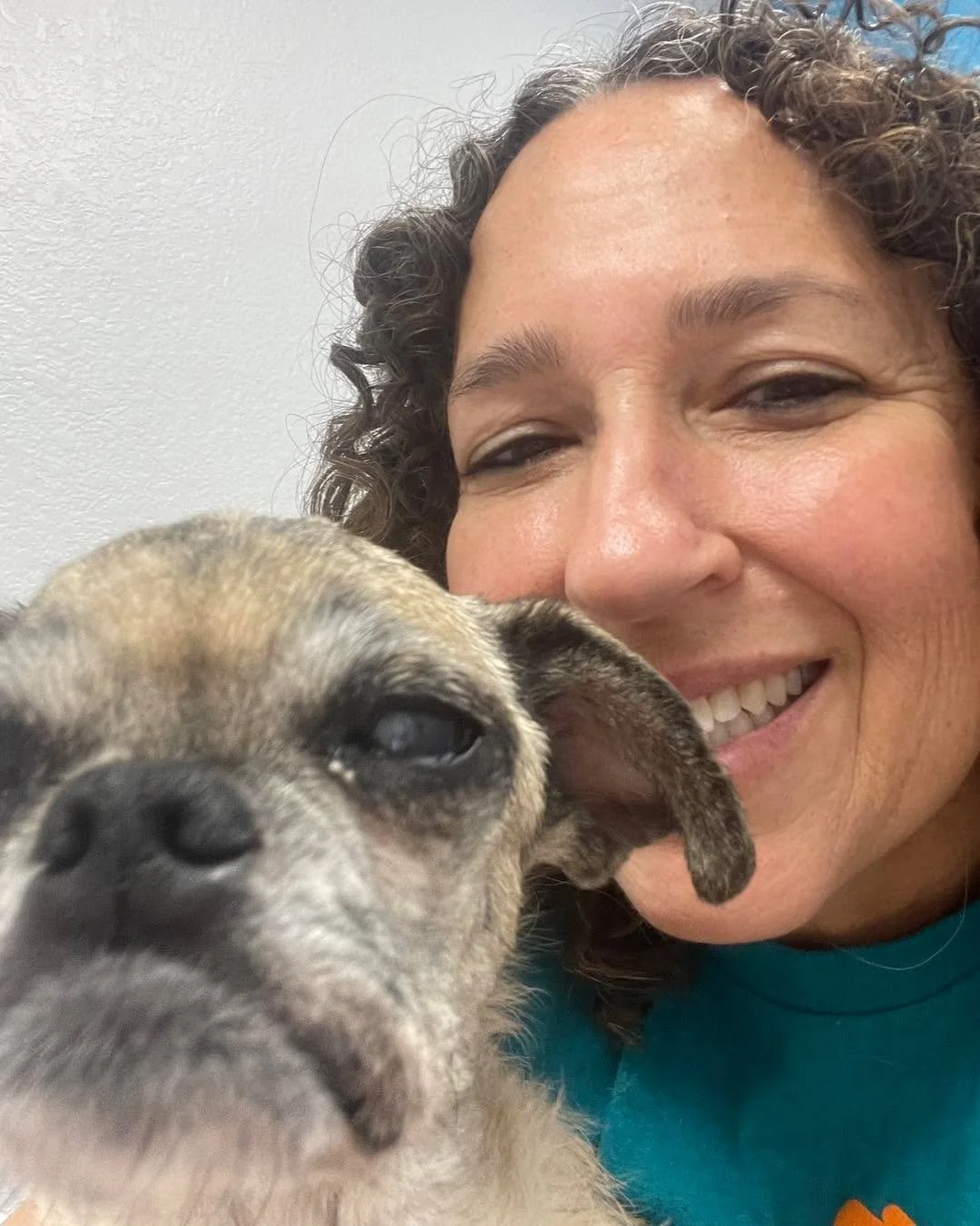 Gracie update!!!

Gracie hasn&rsquo;t been feeling well and she keeps losing weight. We went to the vet this week and tested her for Cushings and thyroid issues that could be complicating her diabetes. She is still super sweet and cuddly but she&rsqu