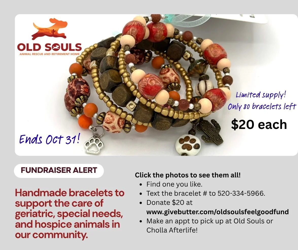 Until October 31, we are putting the FUN back in fundraising while letting you get a jumpstart on your holiday gift shopping!!!

Thanks to Beading Divas, we have 70 handmade bead bracelets, each one entirely unique and tagged with the name of the bra